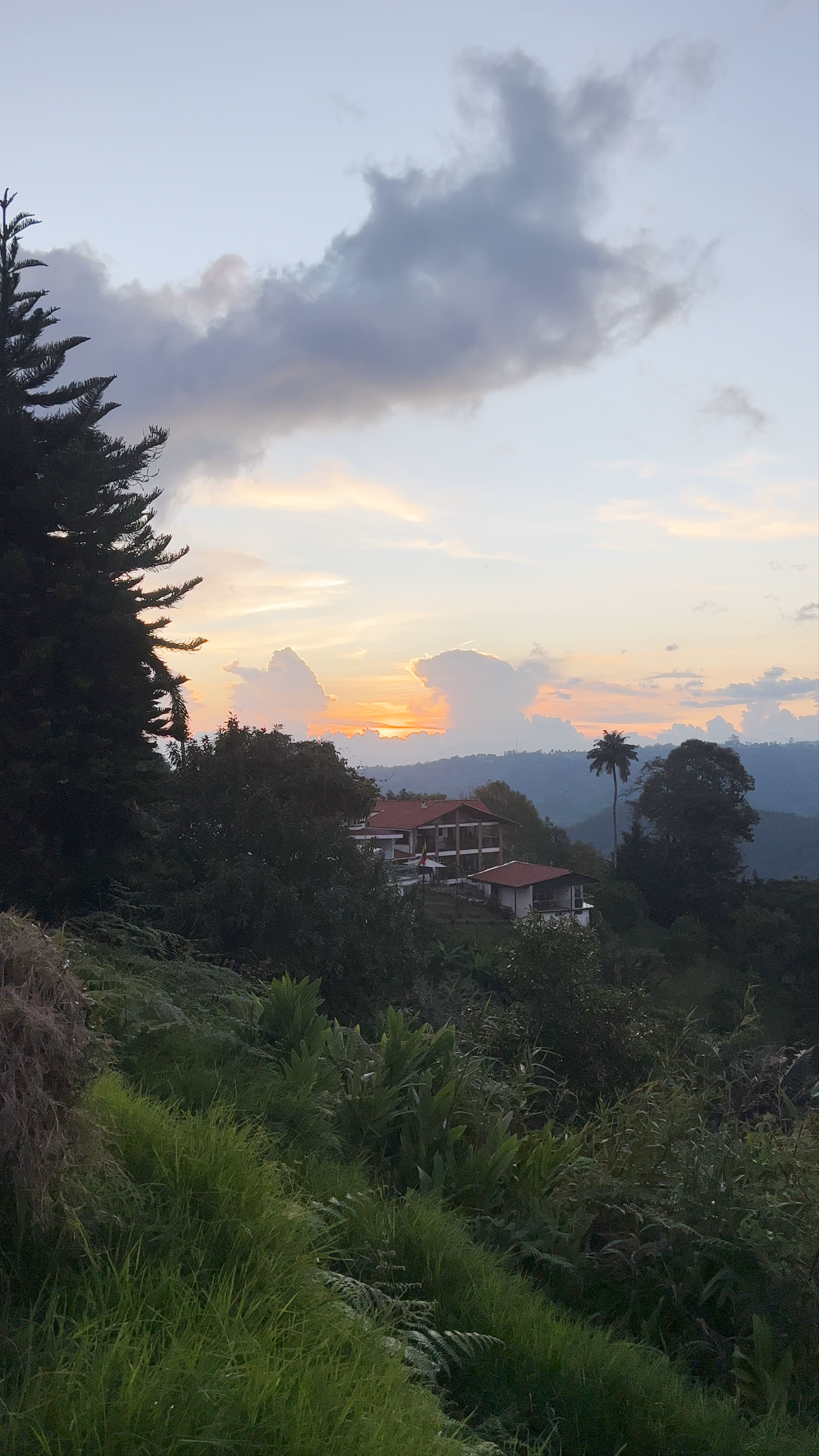 Salento Viewpoint: Sunrise Serenity in Quindio, Colombia