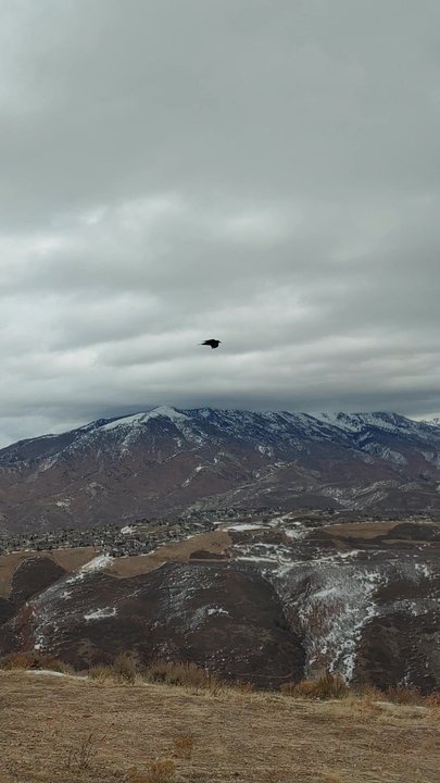 Alien Tower Trail - High enough to be with the birds - Hiking Near Me - Draper, Utah