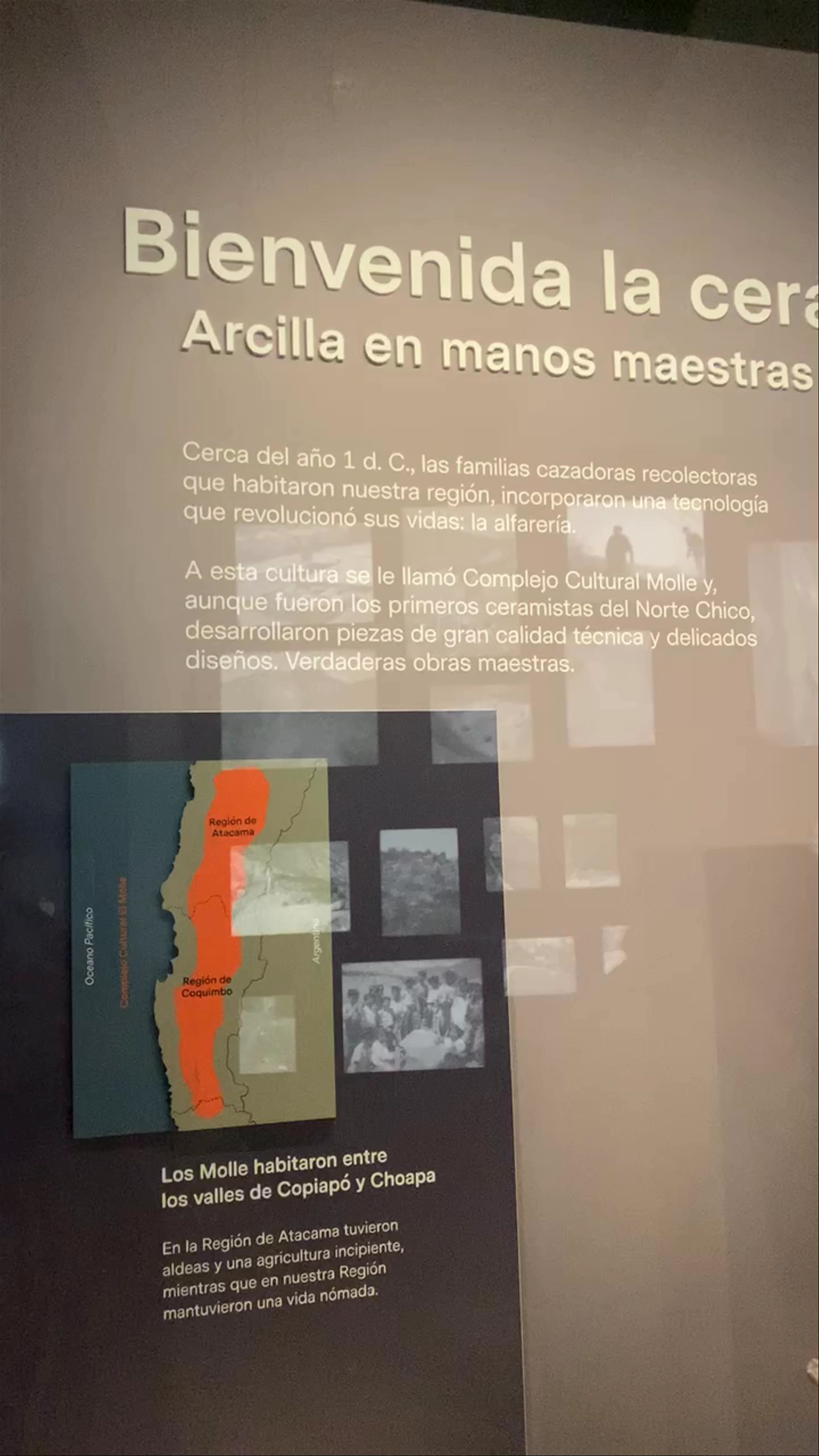 Museo Arqueológico de La Serena