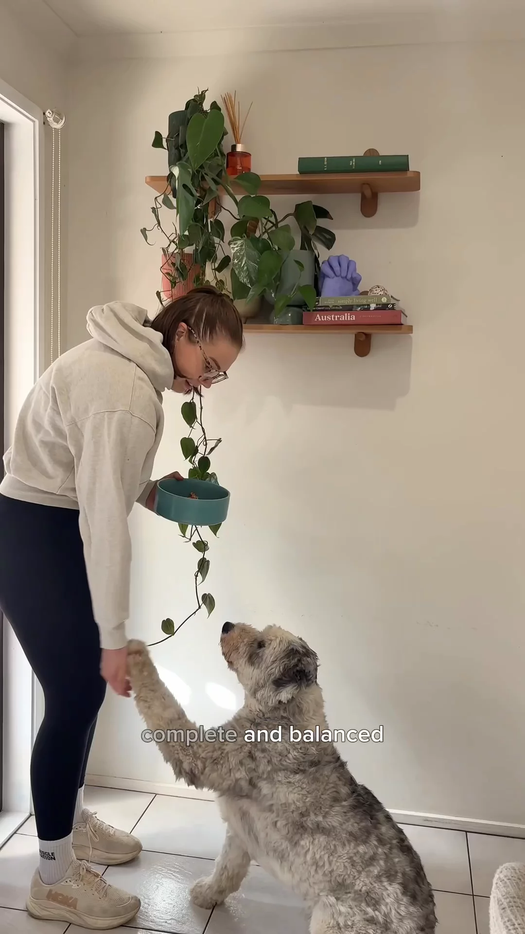 Pet UGC