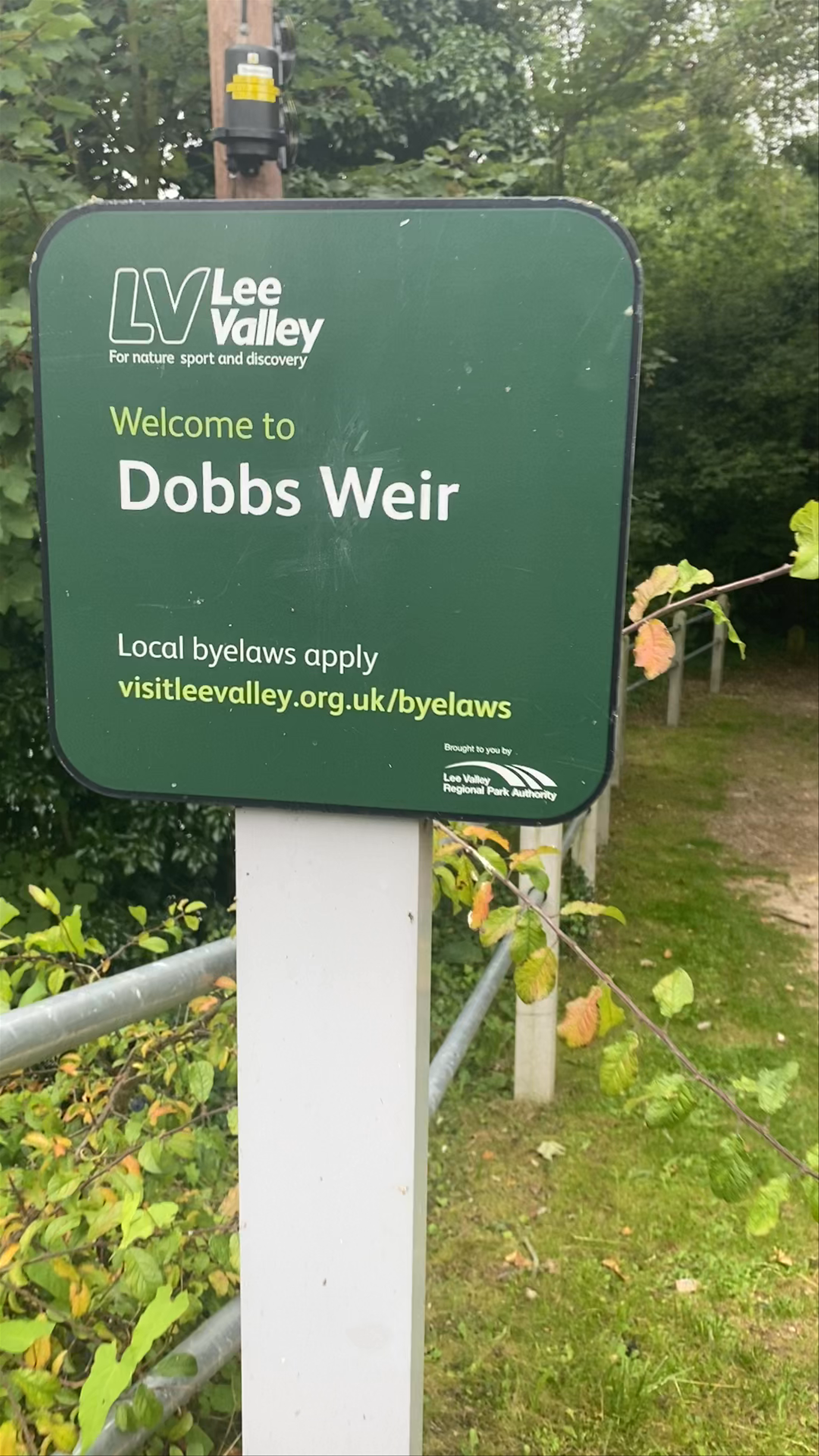 Dobbs Weir