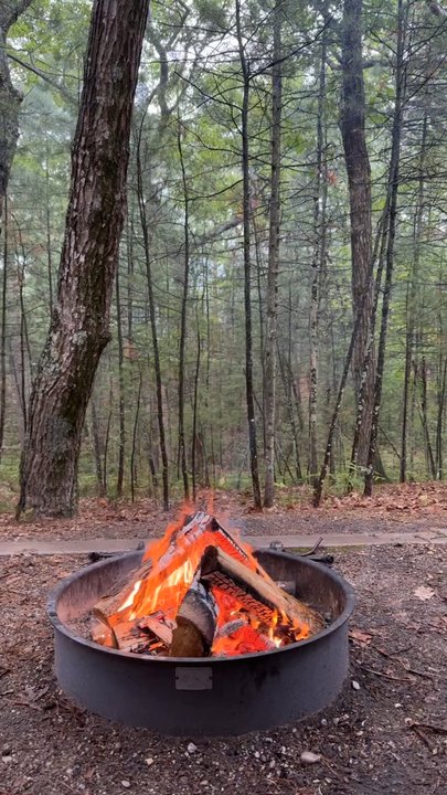 Platte River Campground - Fire pit at campsite - Campgrounds Near Me - Honor, Michigan