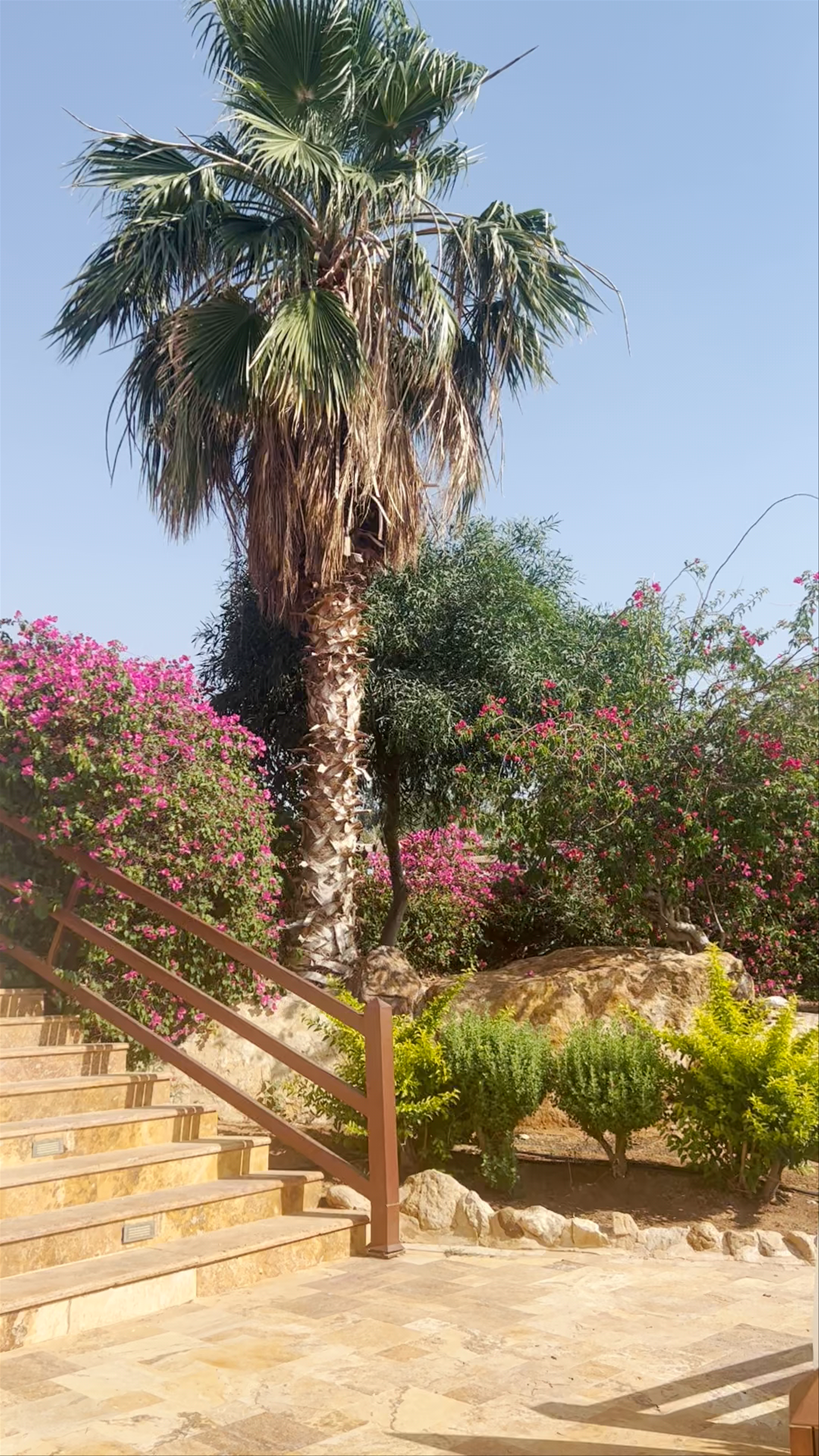 Dead Sea Marriott Resort & Spa