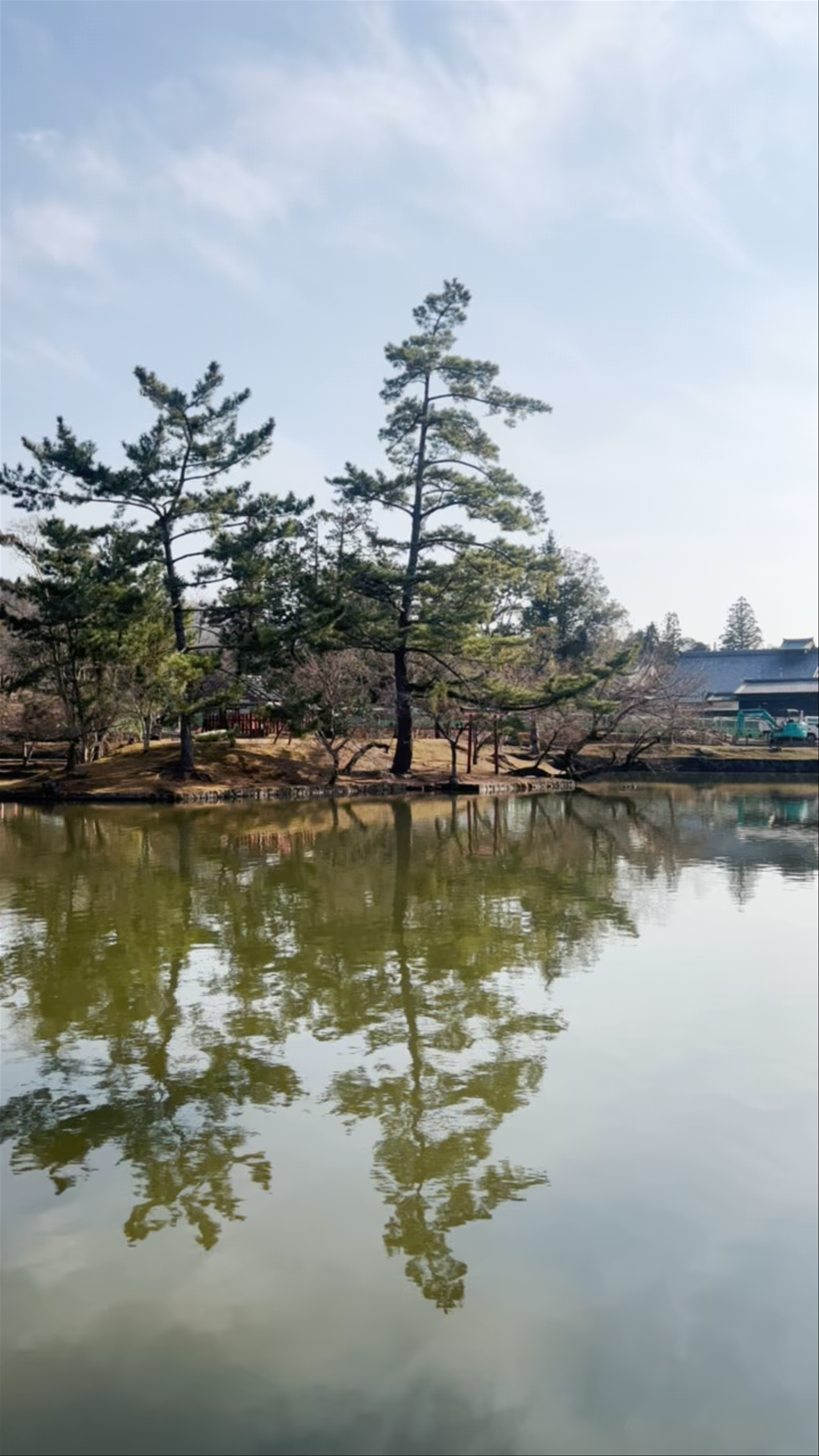 Todaiji Kagami-ike Pond: Serene Reflections in Nara