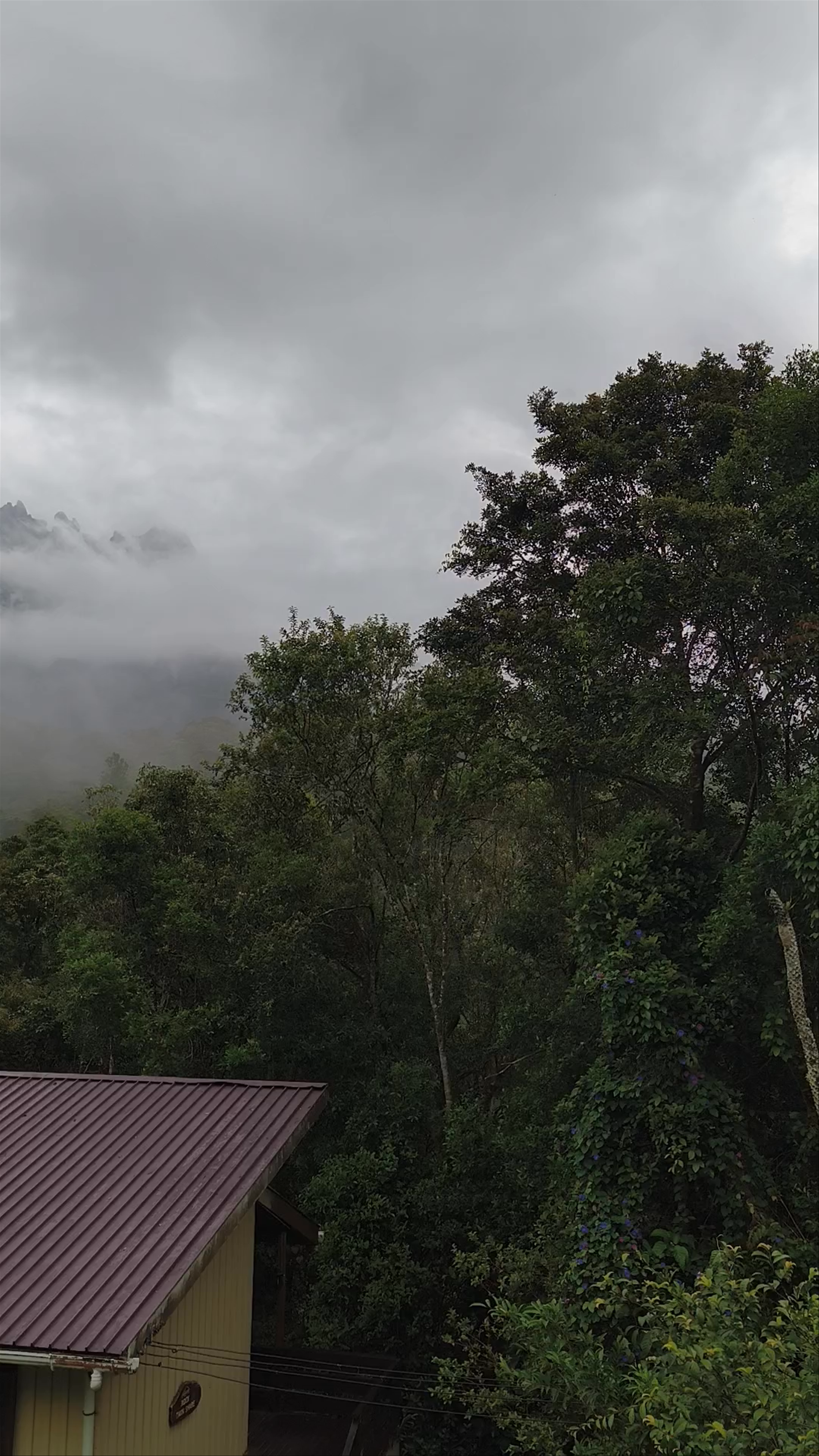Pandanus Trail Start Point