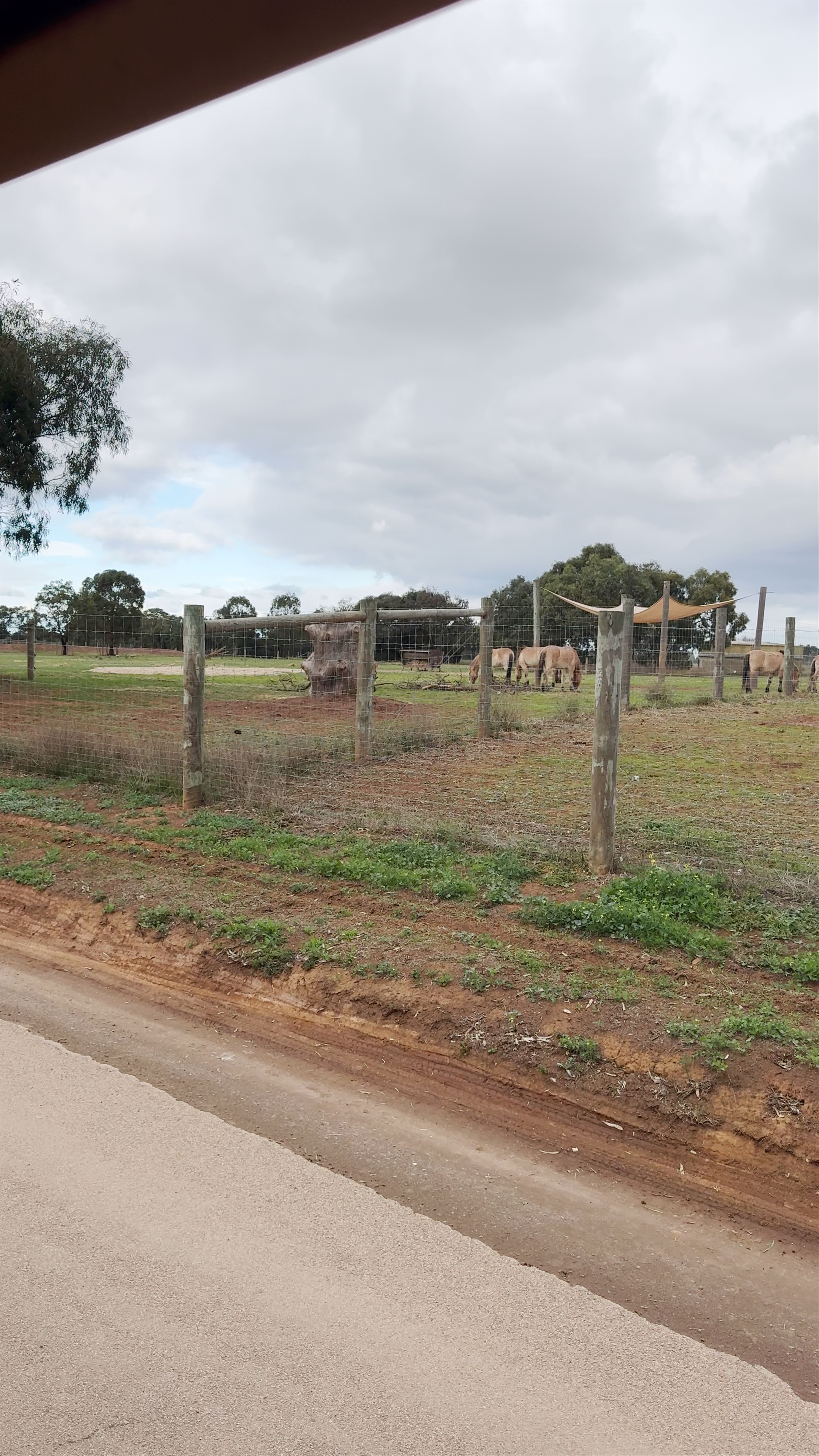 Werribee Open Range Zoo