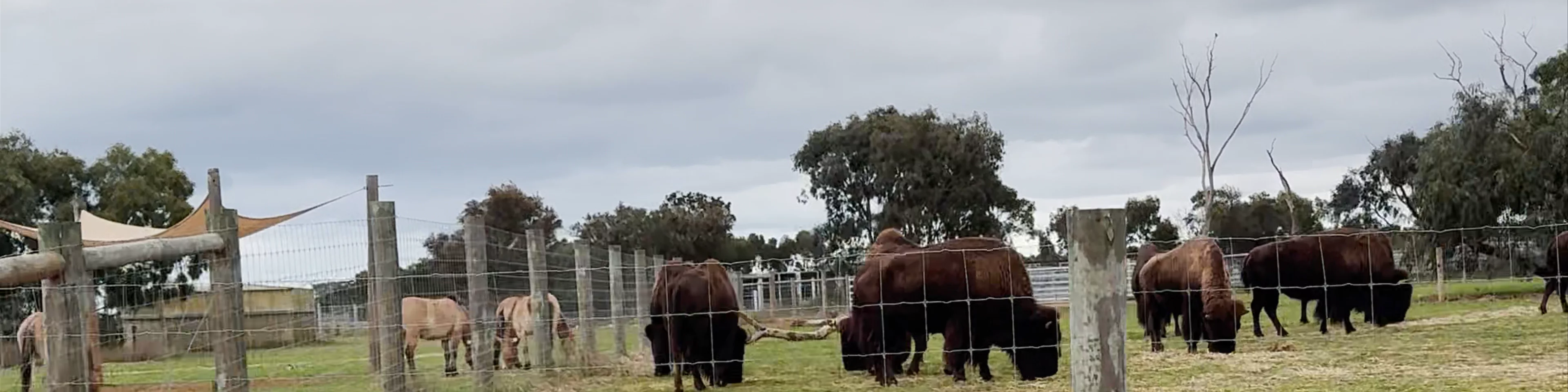 Werribee Open Range Zoo