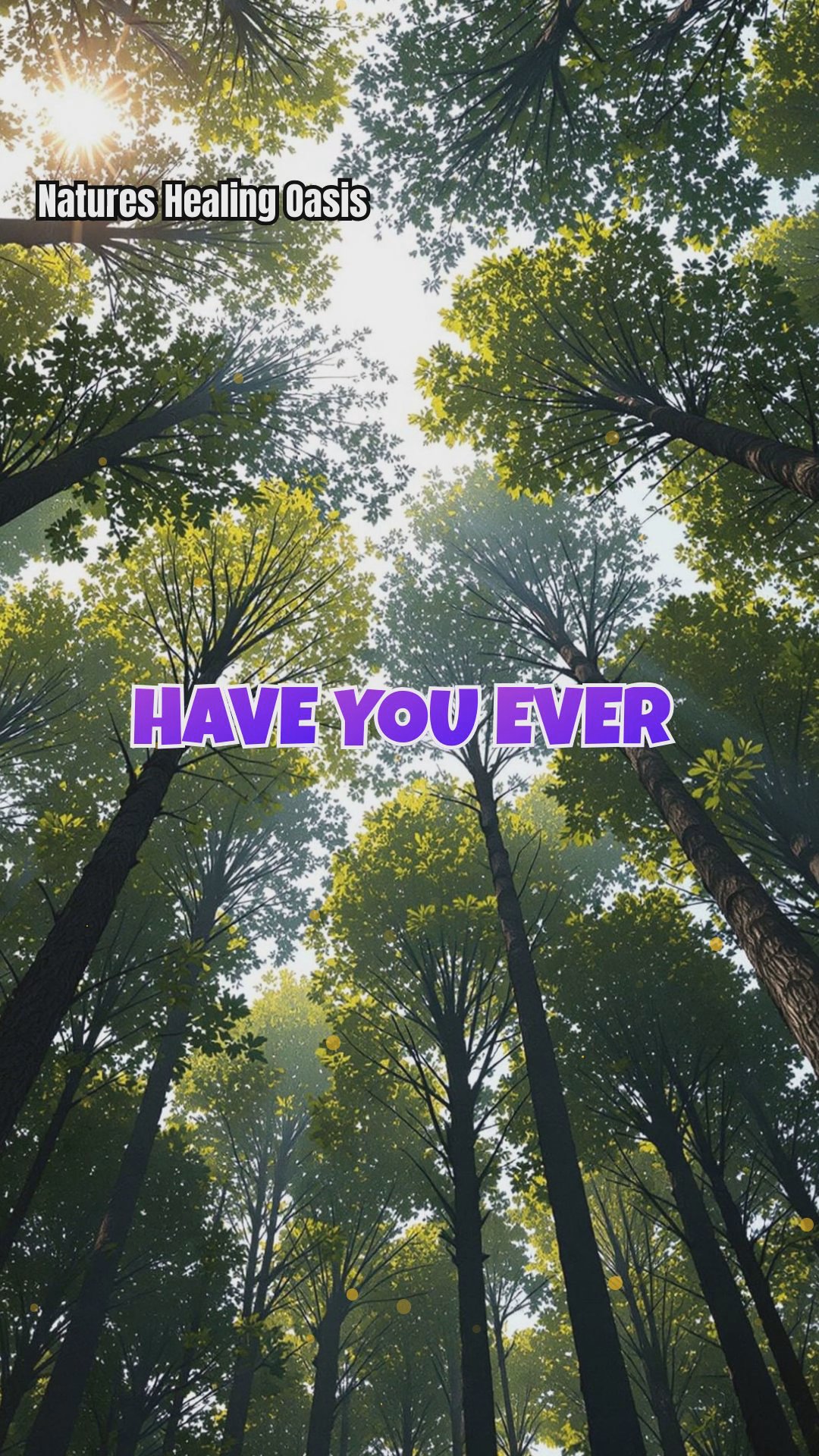 Crown Shyness: What Trees Teach Us About Boundaries