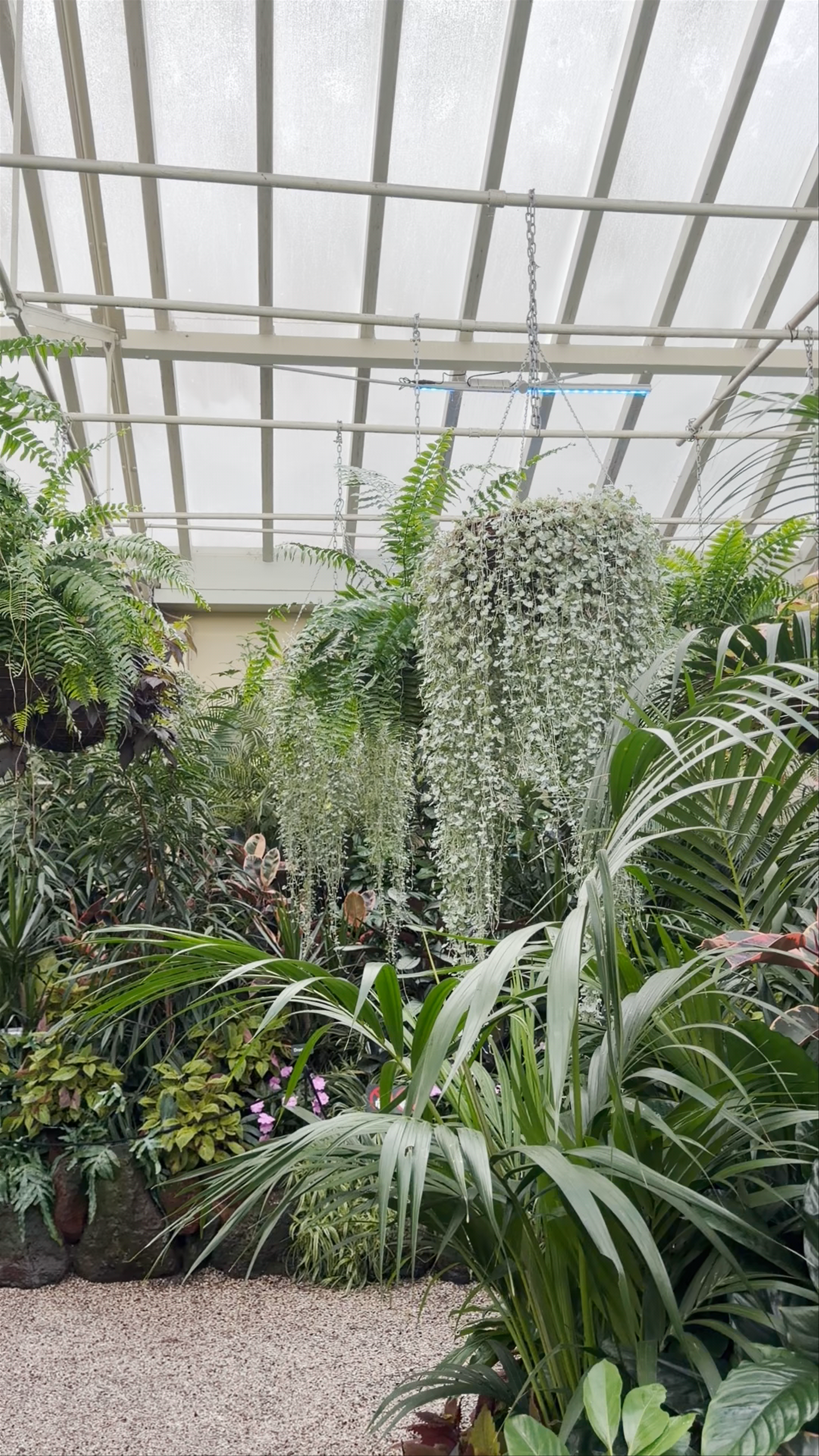 The Conservatory: A Lush Urban Oasis in East Melbourne