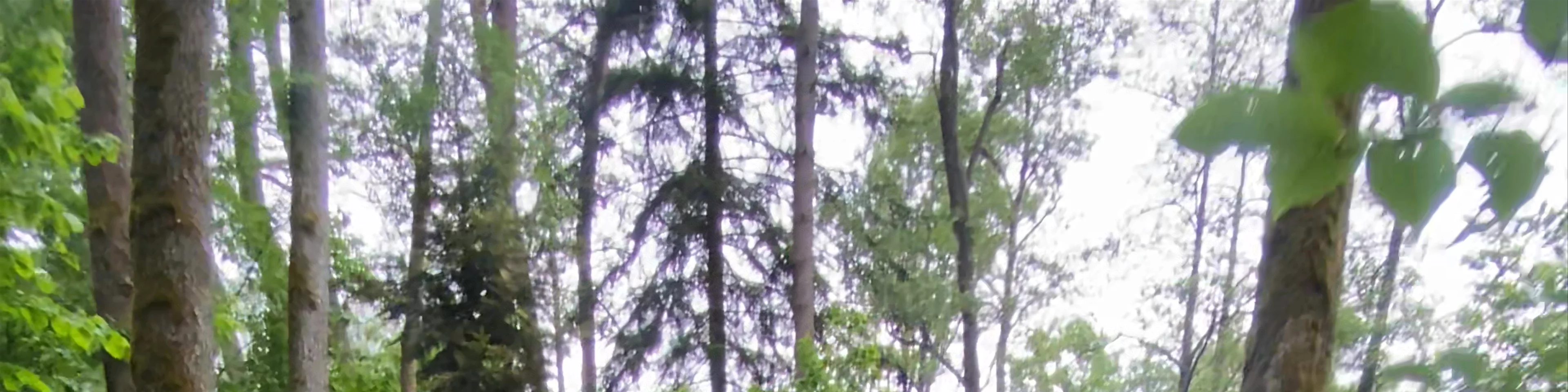 Czartowe Pole