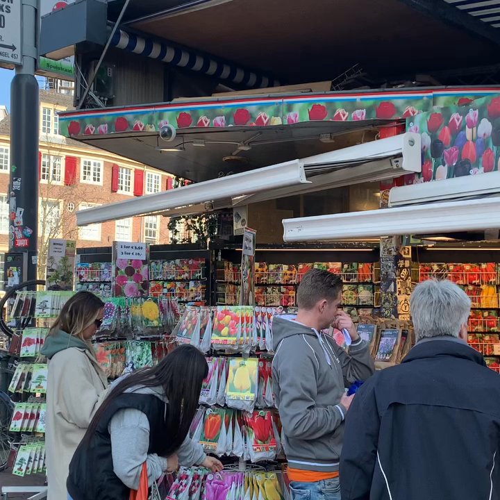 Bloemenmarkt - Tulip shopping @ Bloemenmarkt in Holland! - Florists Near Me - Amsterdam, New Hampshire
