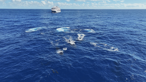 Untitled Work animated gif