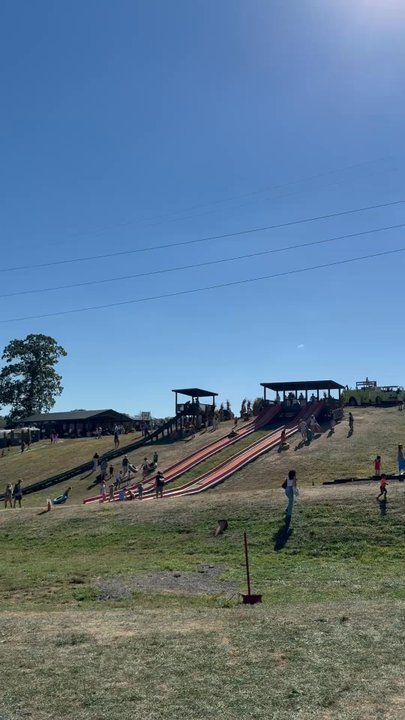 Simmons Market - 100 ft slides - Nurseries & Gardening Near Me - McMurray, Pennsylvania