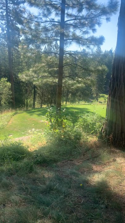Apple Mountain Golf Resort - Golf Near Me - Camino, California