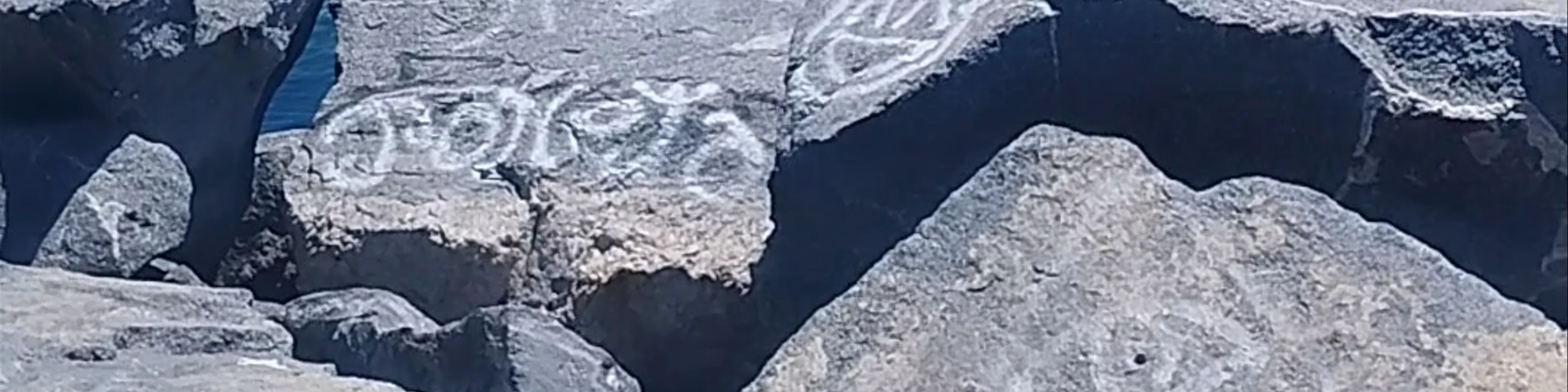 Mirador lobos