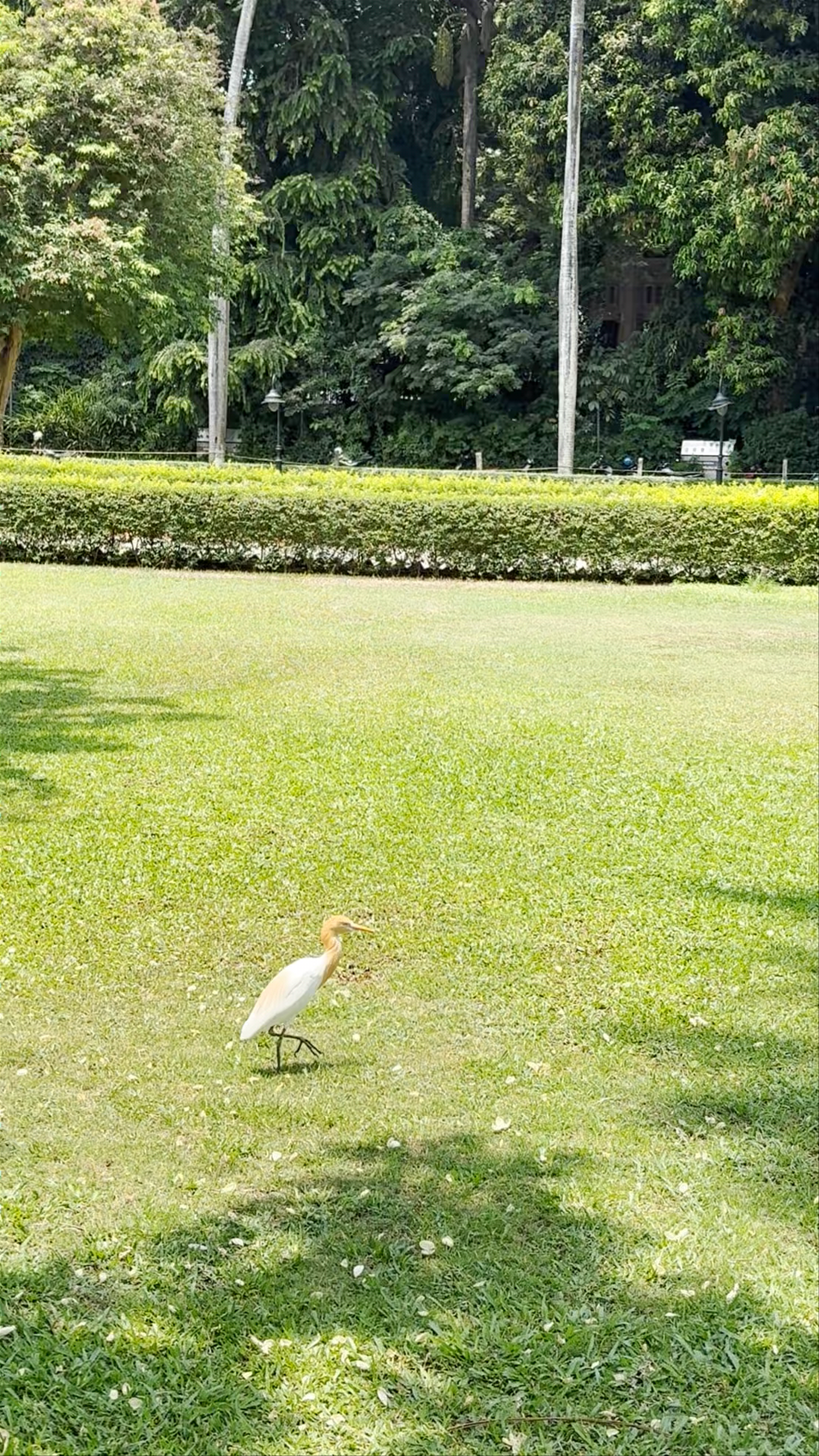 Chhatrapati Shivaji Maharaj Garden