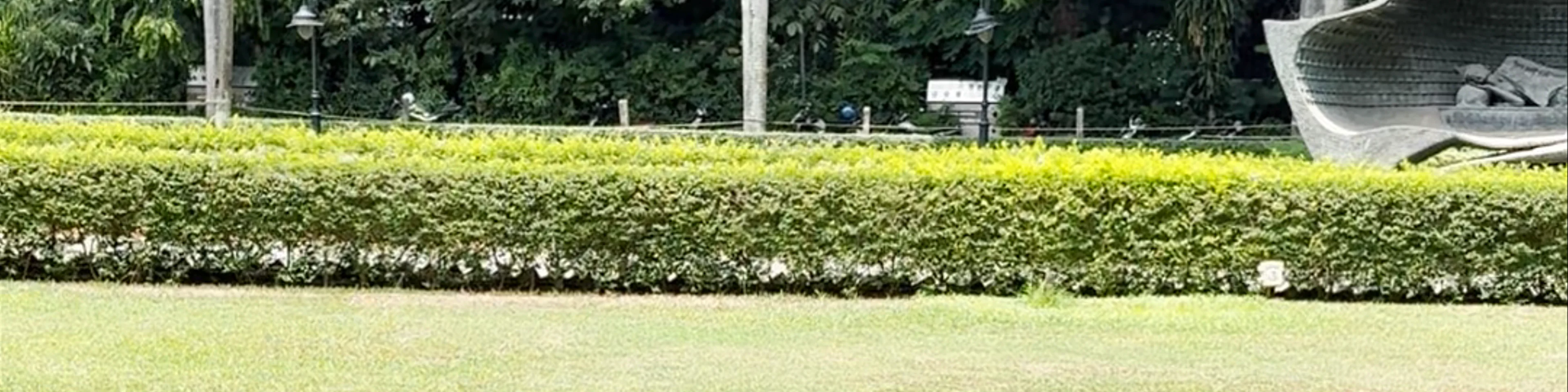 Chhatrapati Shivaji Maharaj Garden
