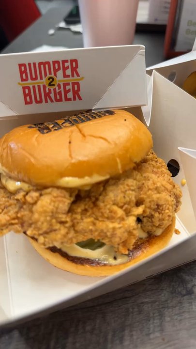 Bumper 2 Burger - Fire - Burgers Near Me - Des Plaines, Illinois
