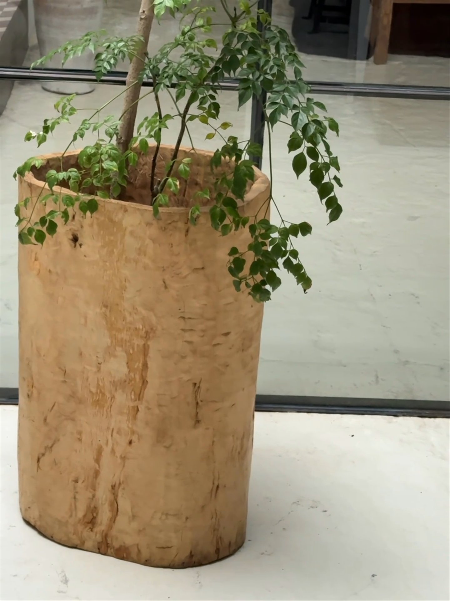 Chinese Wheat Pot - Light