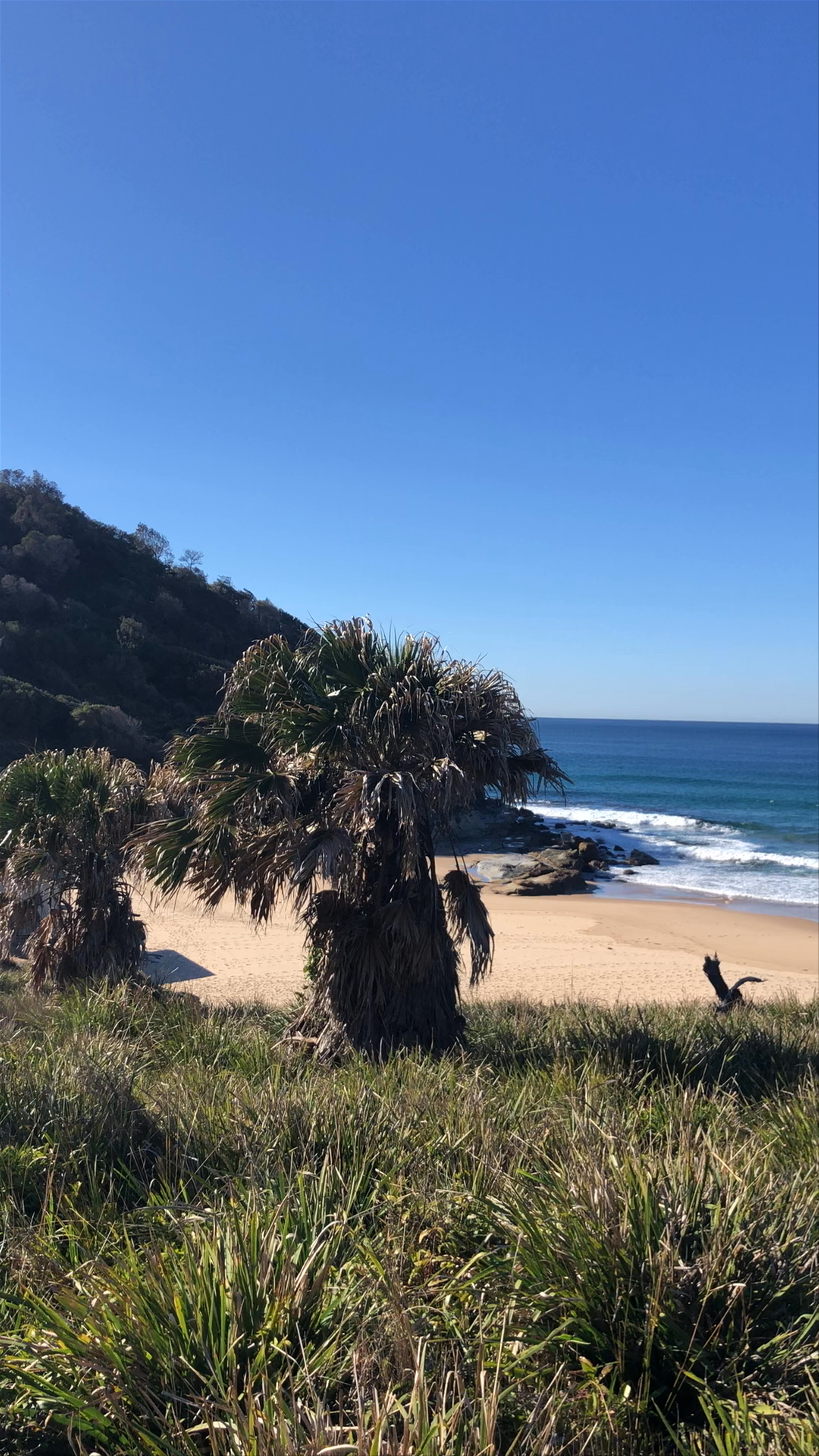Burning Palms Beach: A Secluded Coastal Escape in Lilyvale, New South Wales