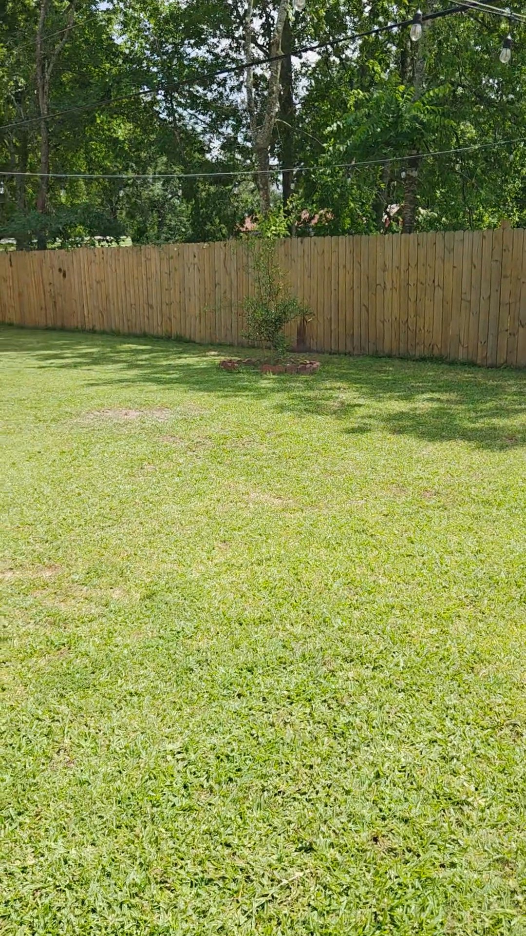 Listing photo-2