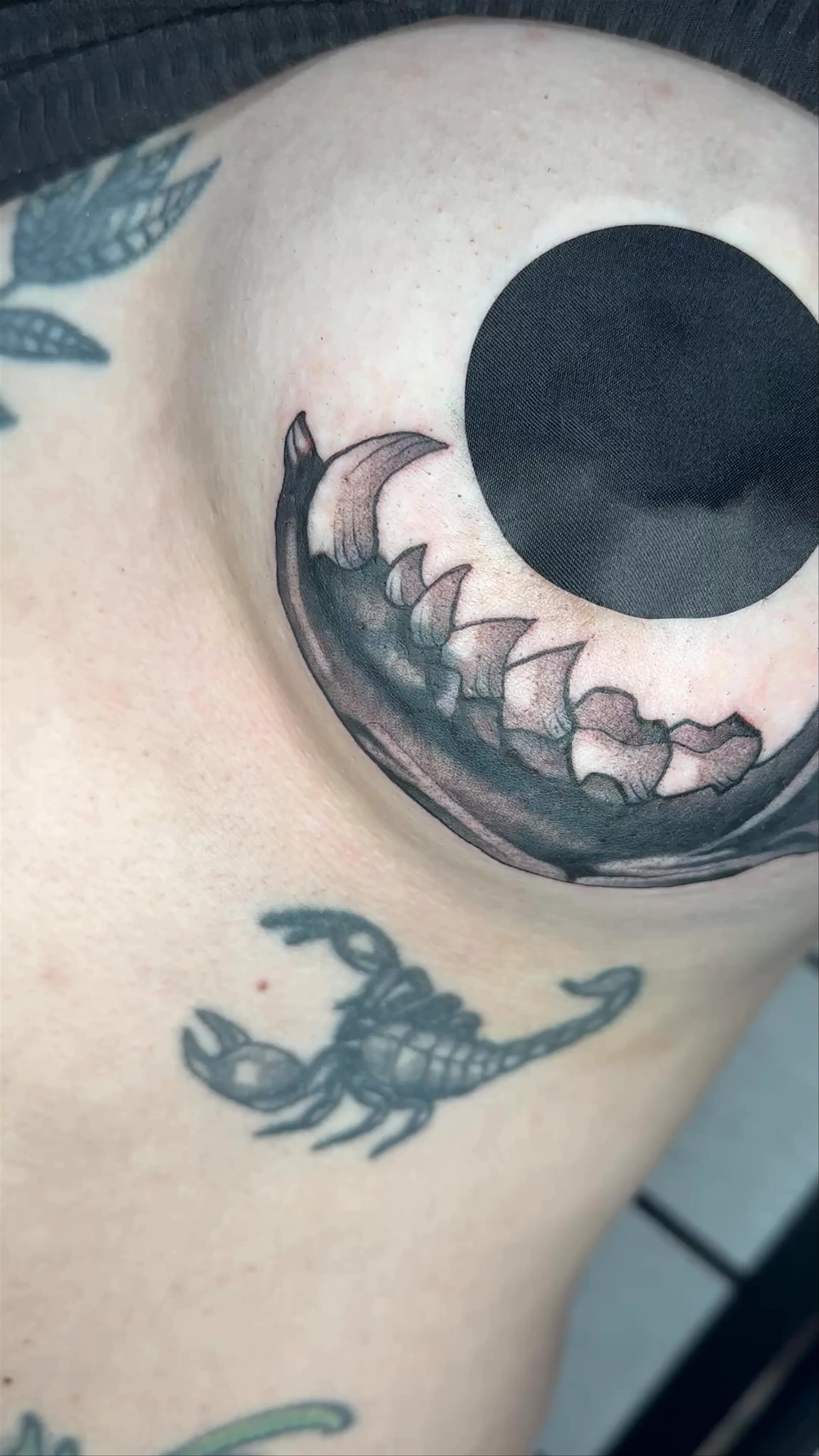 Jaw bone, cover up custom 