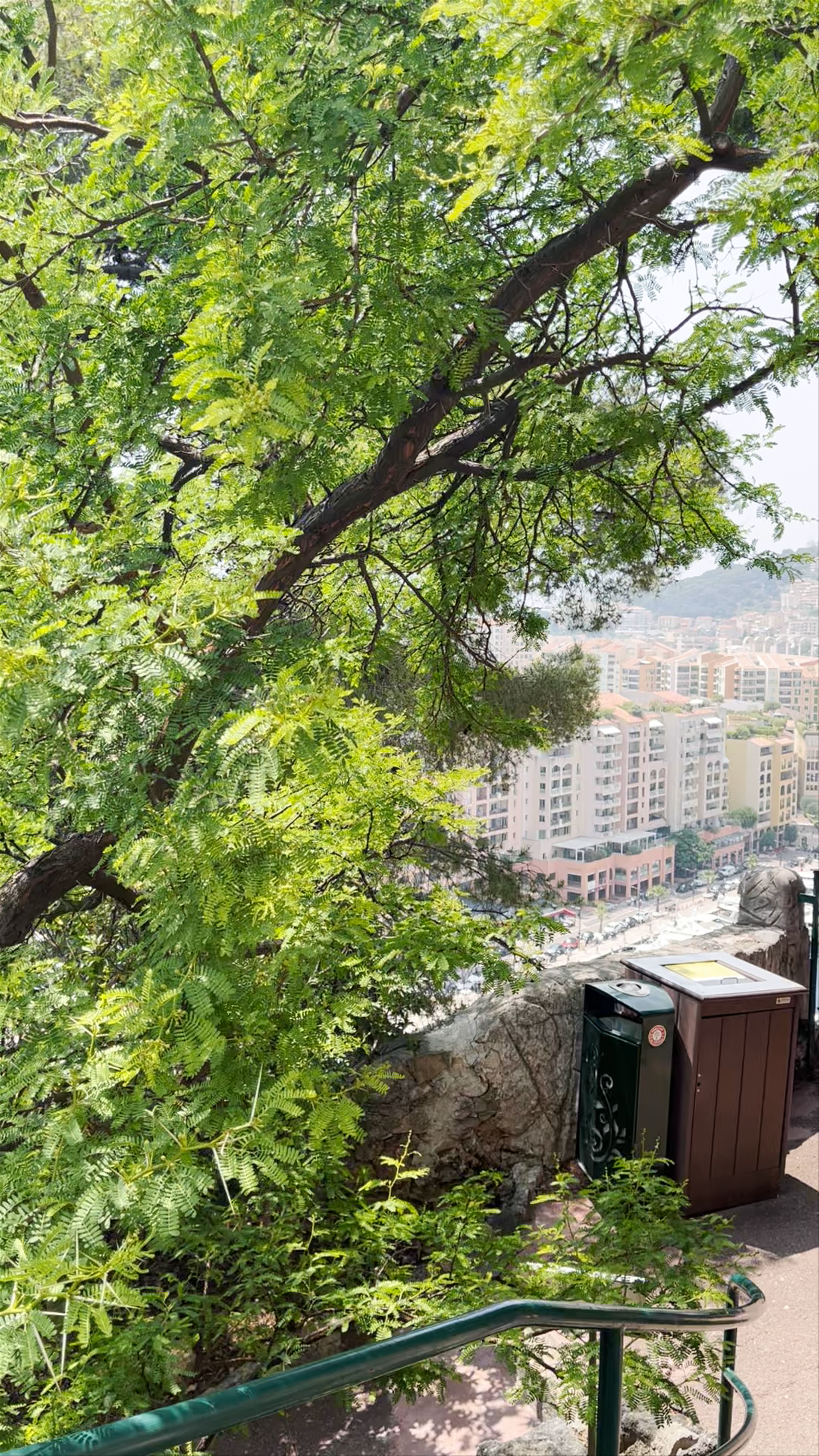 Panoramic view of Monaco