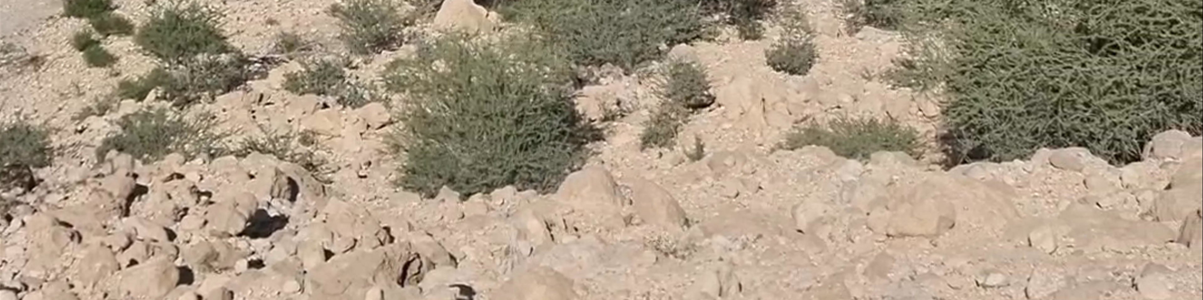 Oman