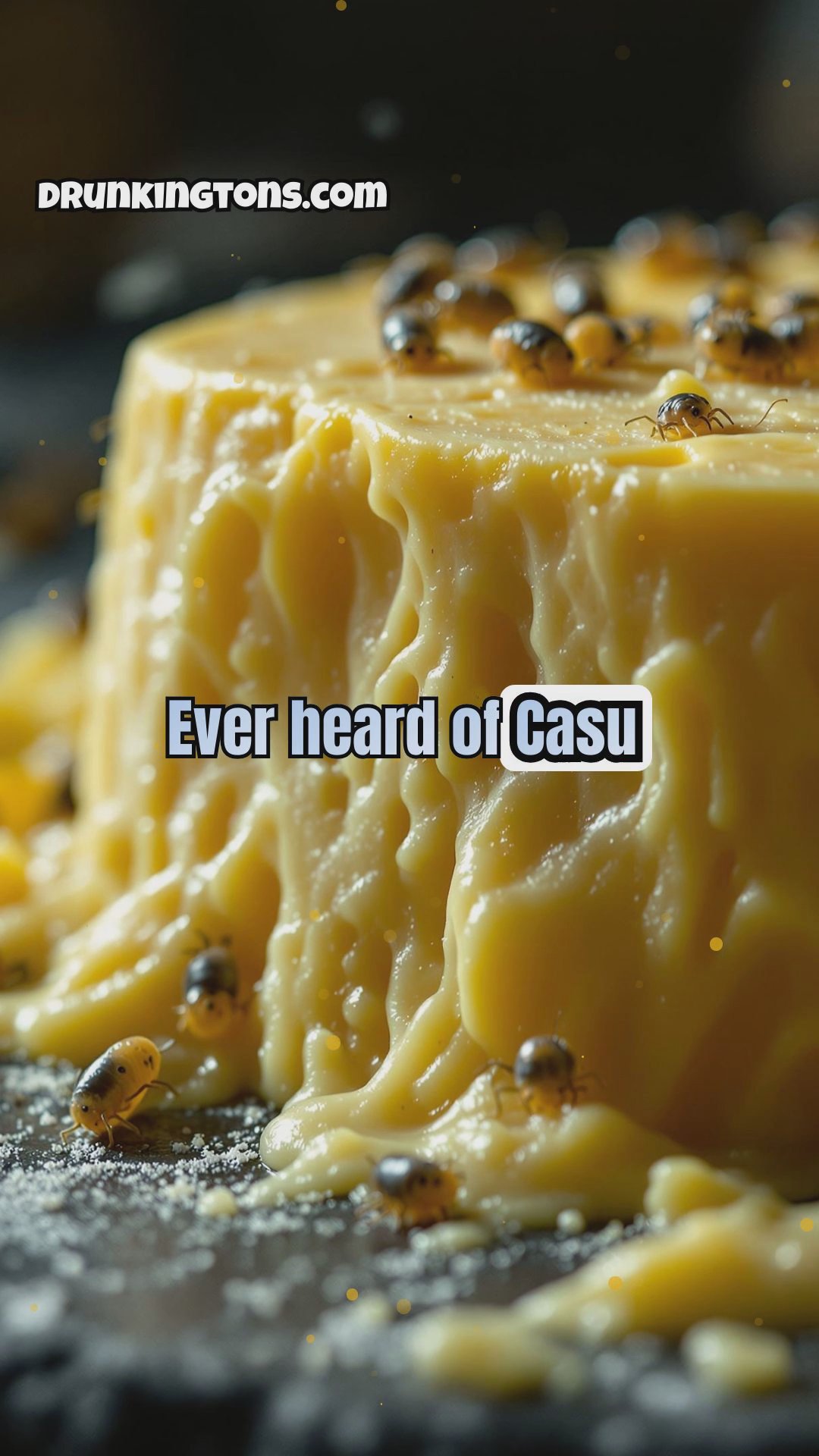 Bizarre Food Facts: From Casu Marzu to the World's Most Expensive Coffee