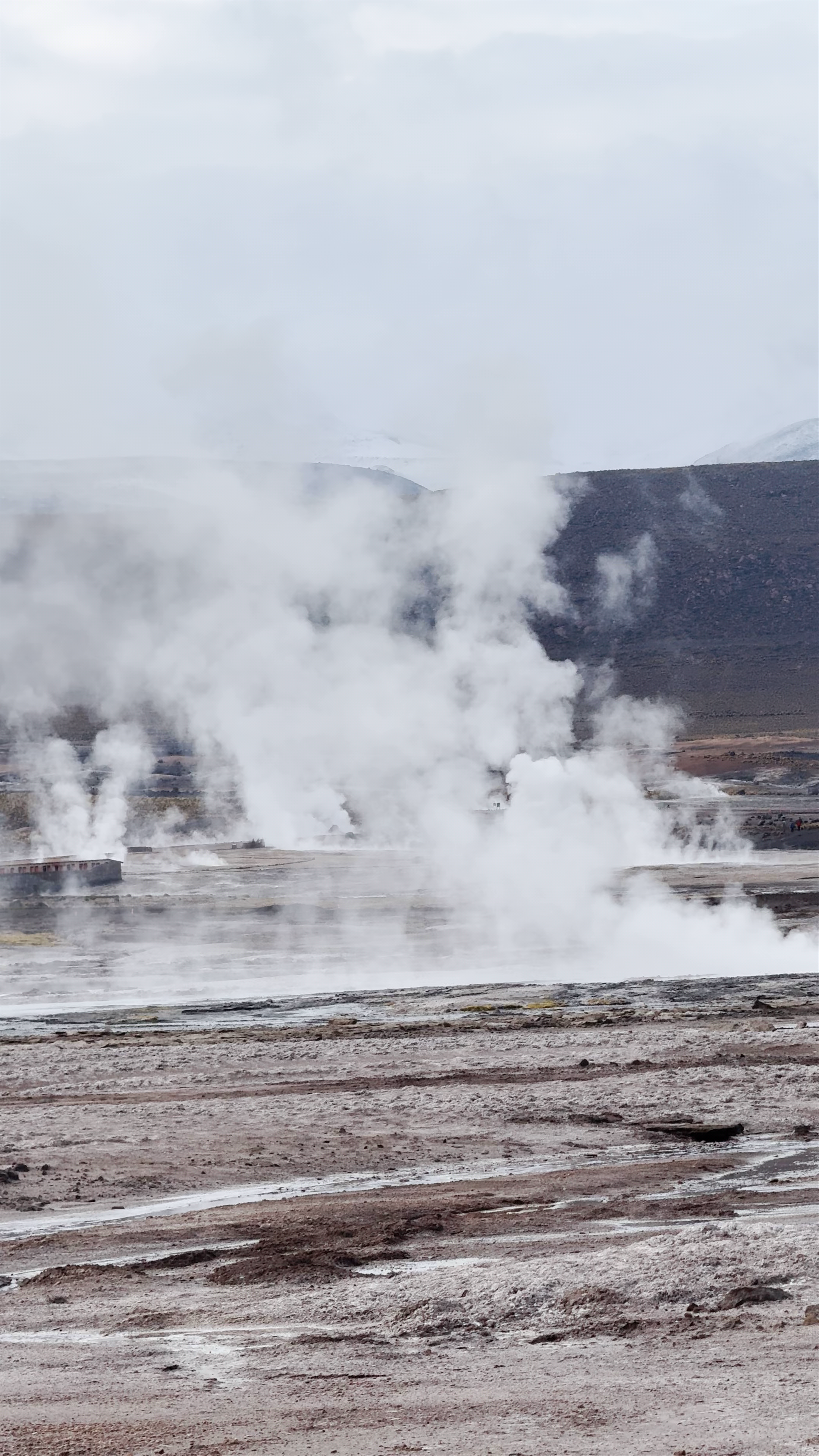 El Tatio - B-245