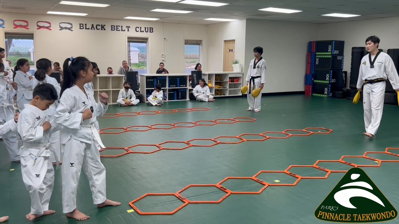 Pinnacle Taekwondo - White Belt class - Taekwondo Near Me - Tracy, California