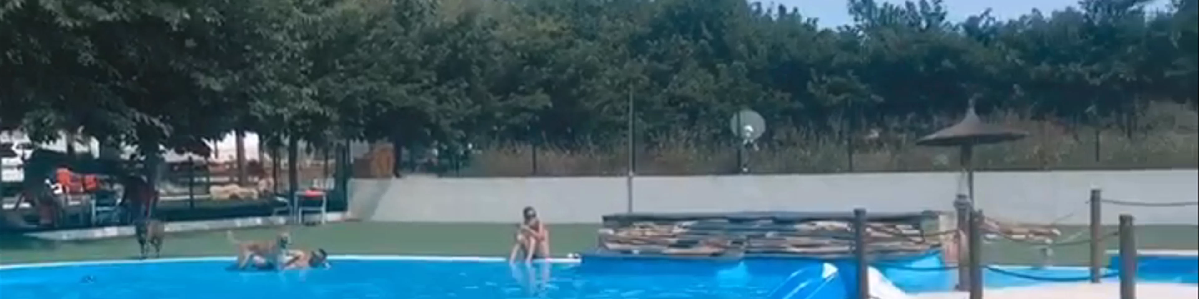 TRUST Resort