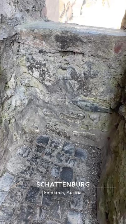 Schlosswirtschaft Schattenburg - How they used to make wine! - Austrian Near Me - Feldkirch, 8
