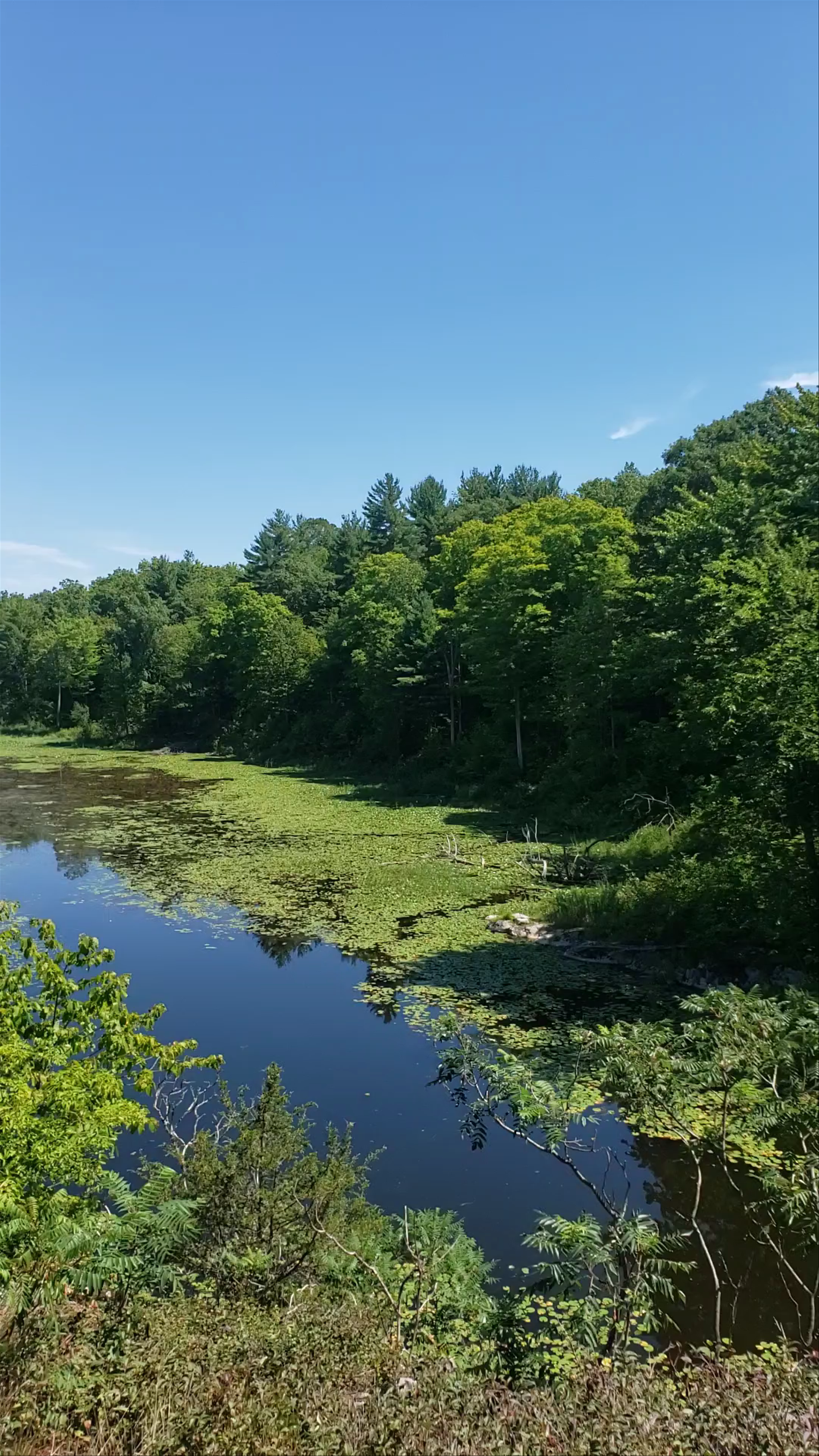Marble Rock Conservation Area