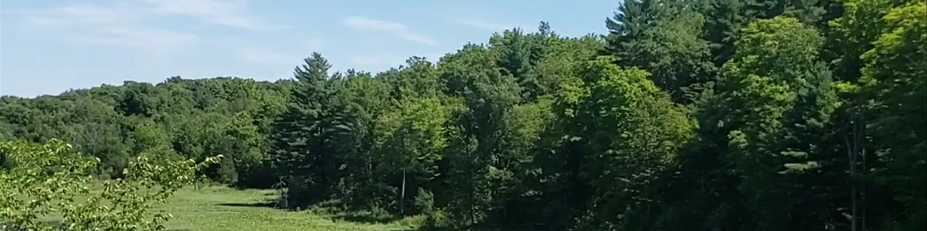 Marble Rock Conservation Area