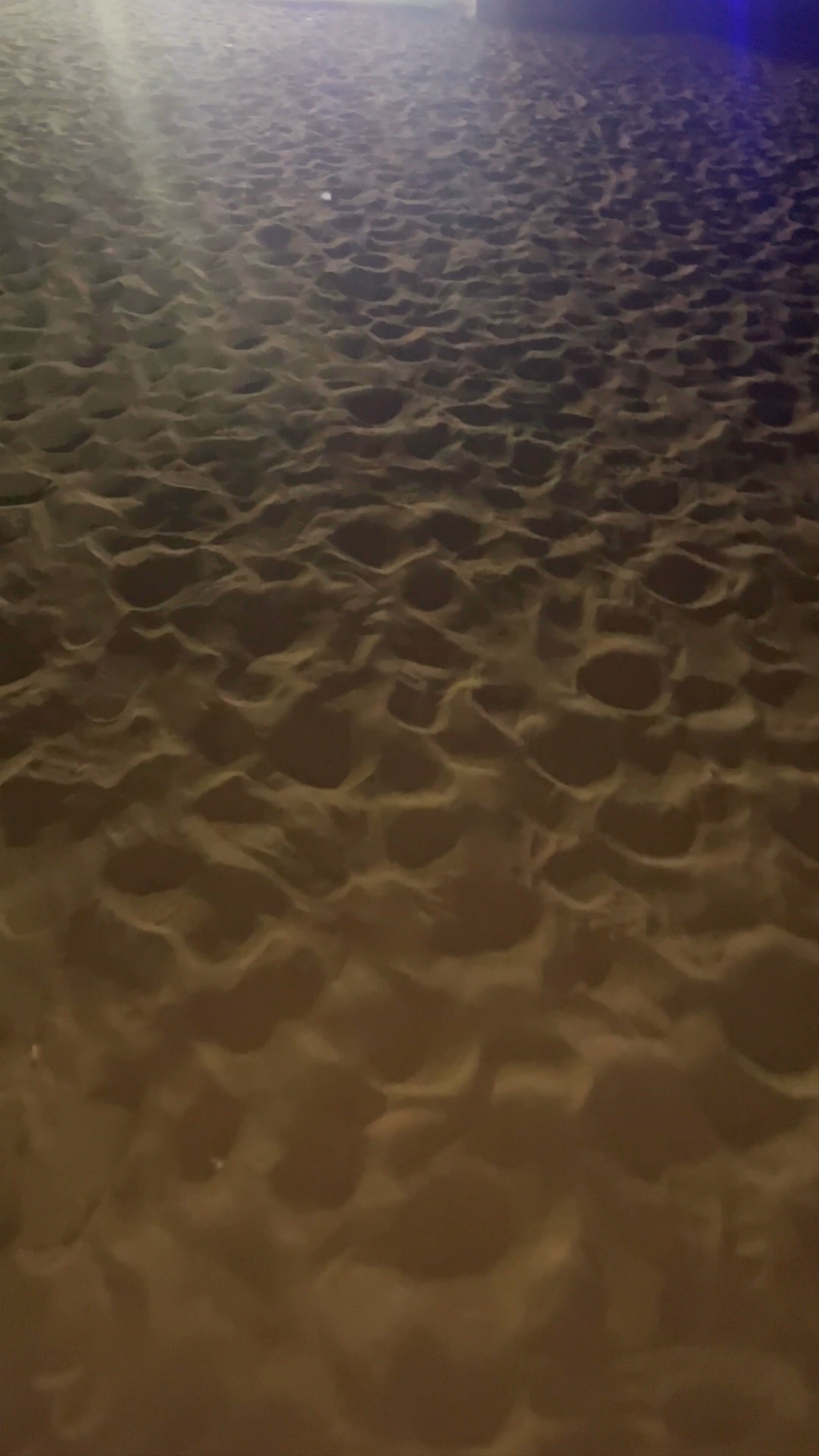 RED DUNES DESERT SAFARI