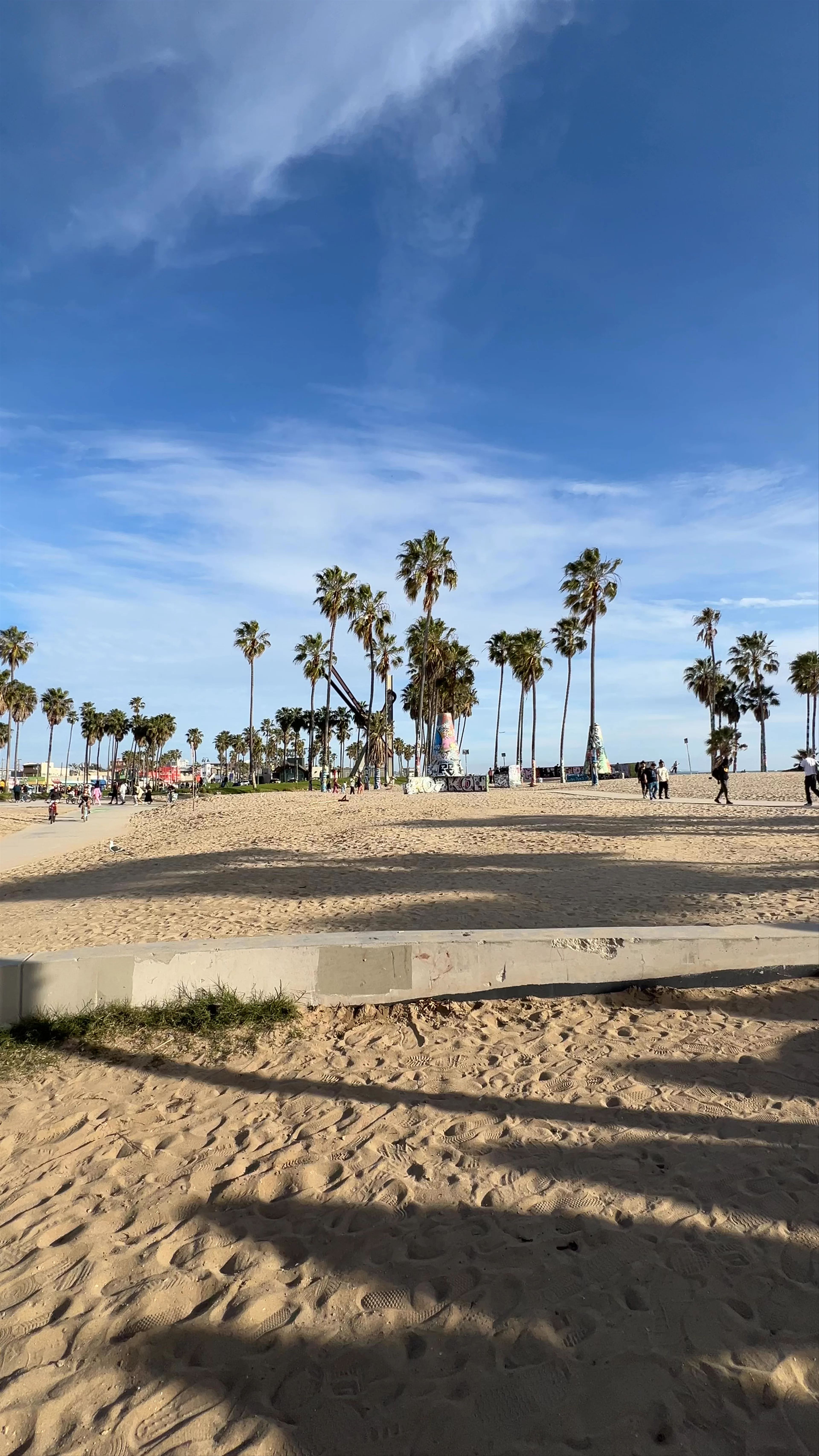 Venice Skate Park