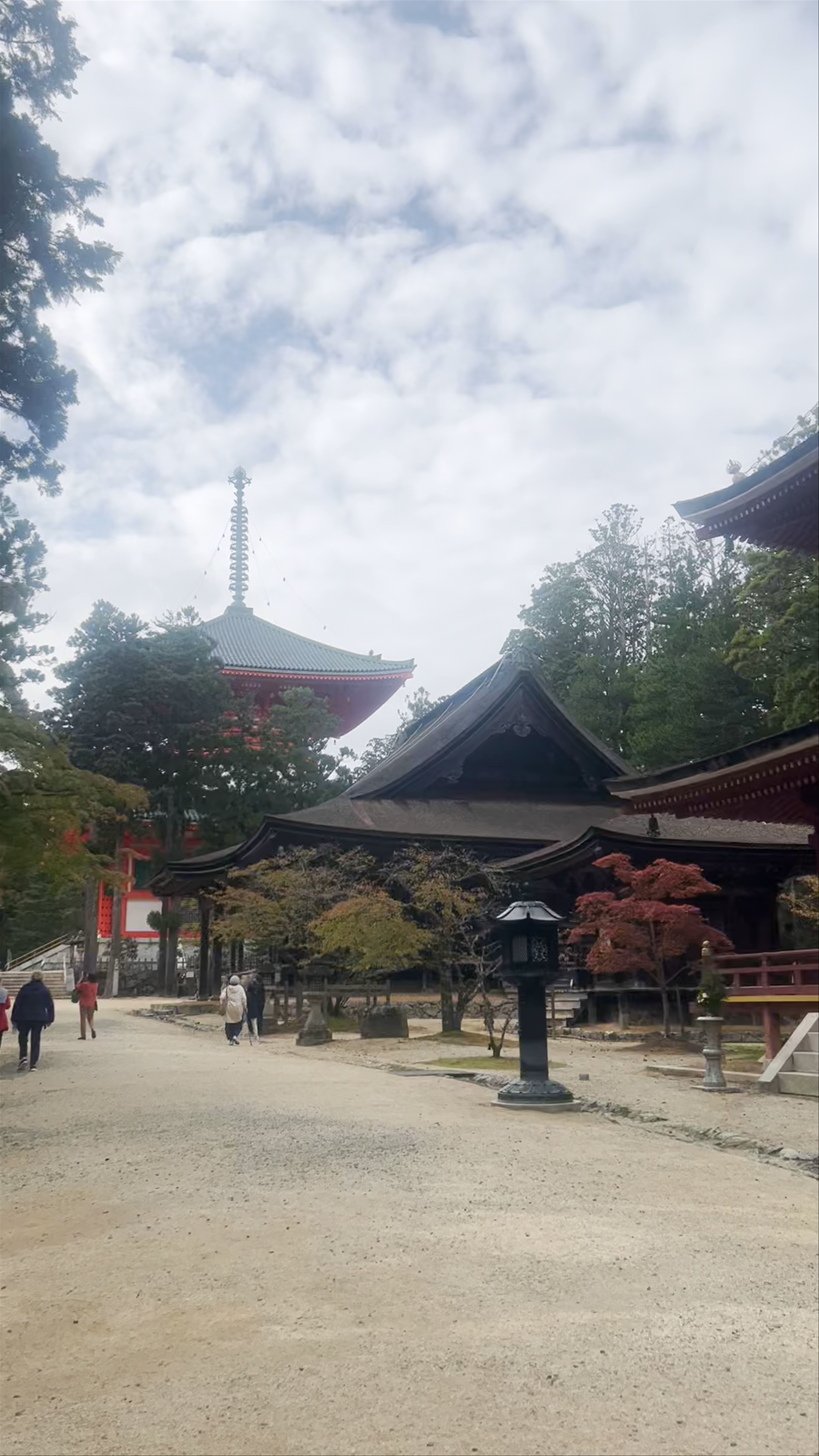 Kongobu-ji Danjo Garan (Elevated Precinct)