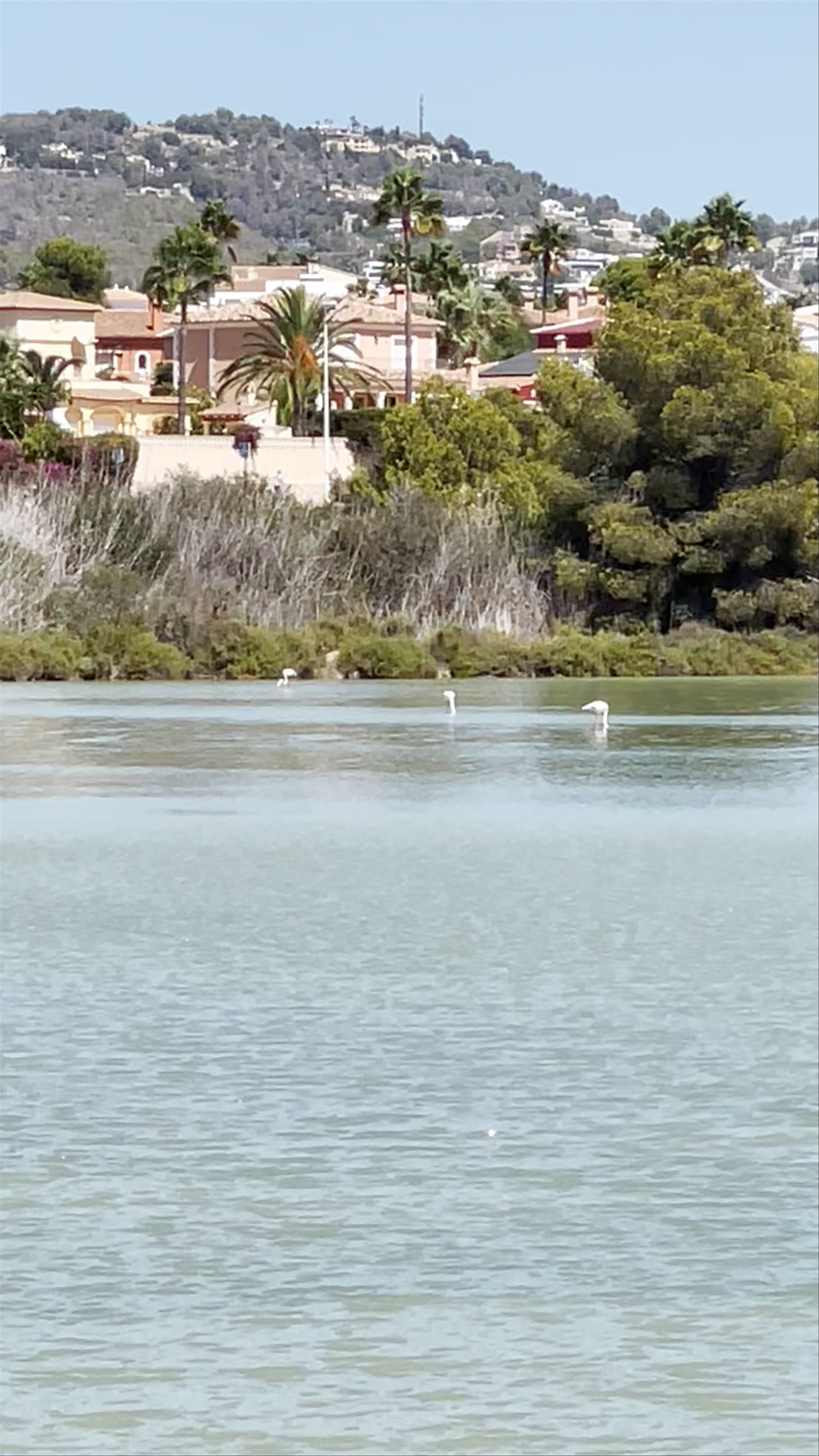 Salinas de Calpe