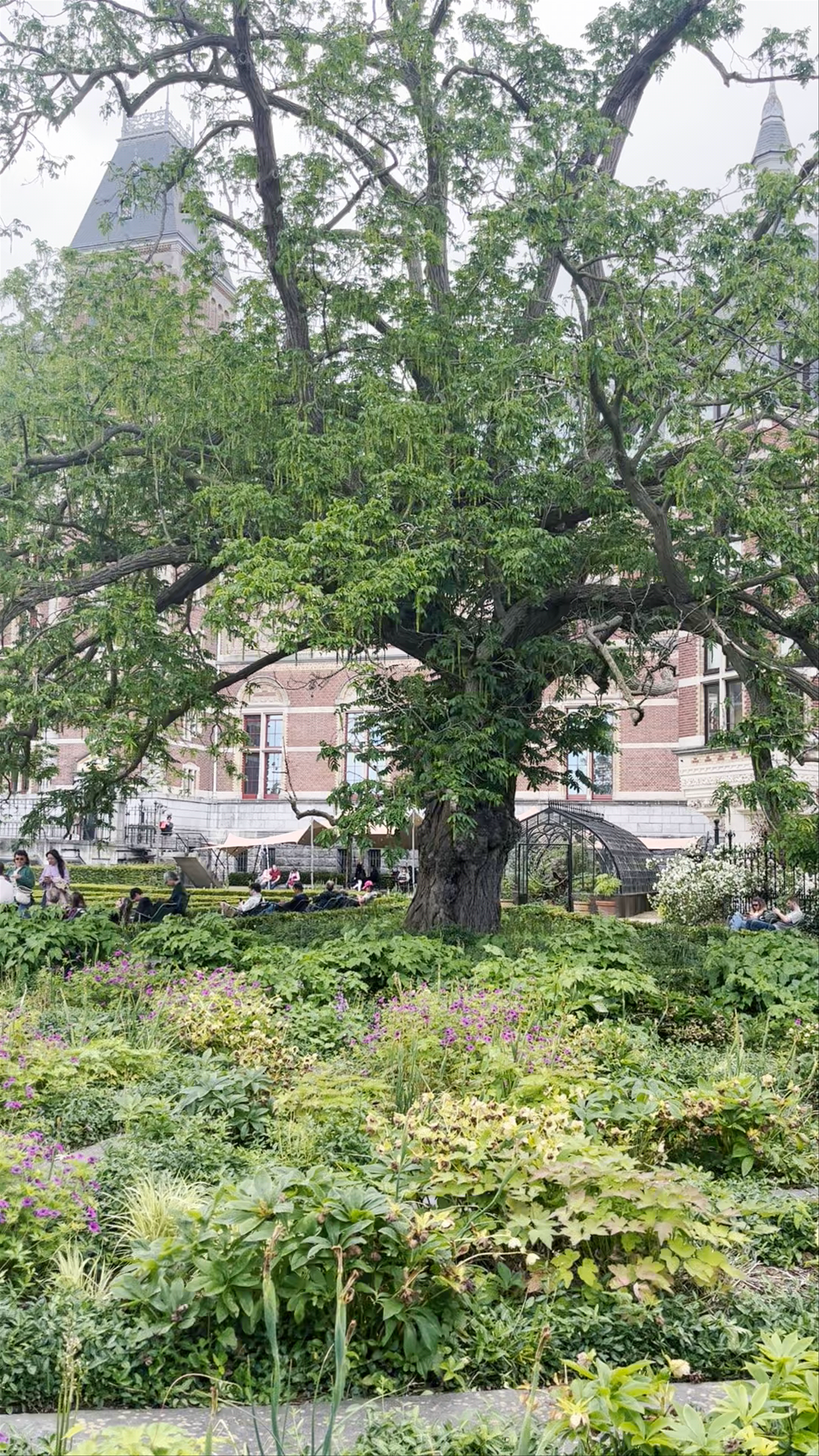 Rijksmuseumtuinen