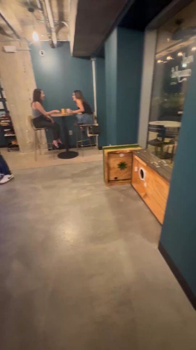 Second Draught - Brewpubs Near Me - Houston, Texas