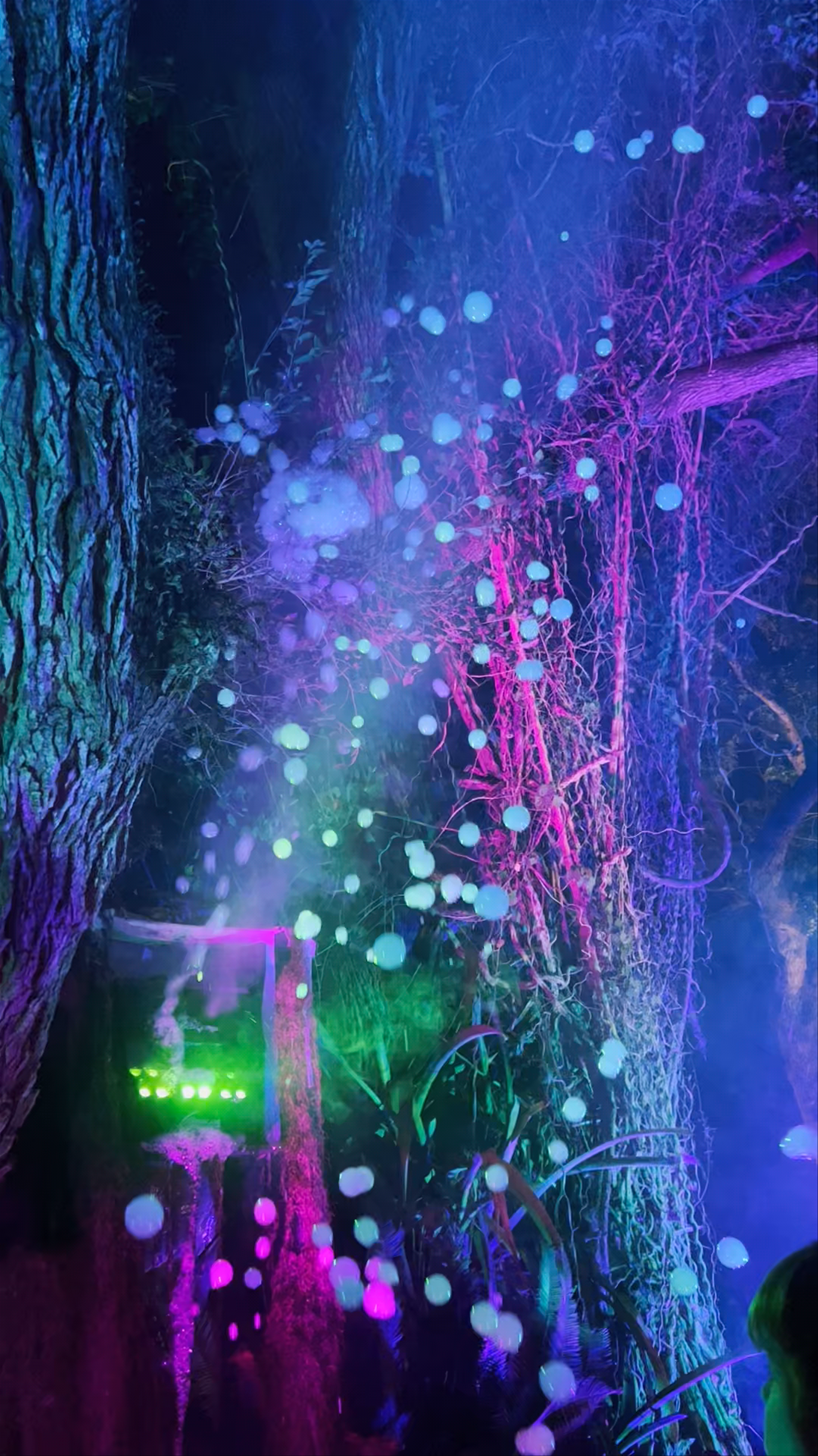 The NightGarden Experience at Fairchild Tropical Botanic Garden, Coral Gables