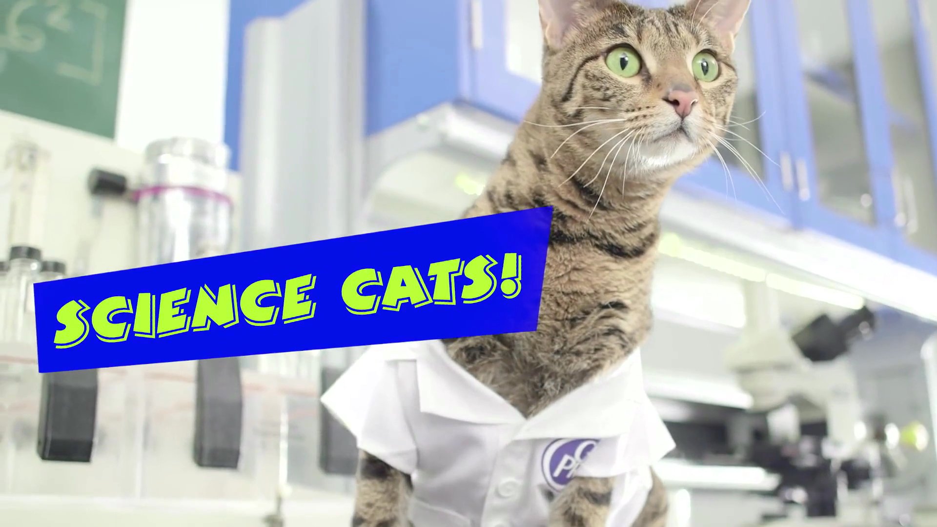 Cat’s Pride “Science Cats”