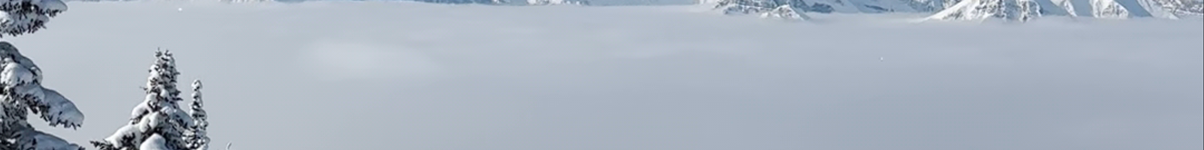 Tours & experiences in Canada