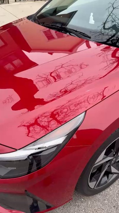 Mr Kleen Auto Spa - Auto Detailing Near Me - Chicago, Illinois
