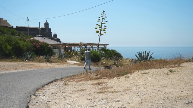 Man walking his dog near the ocean