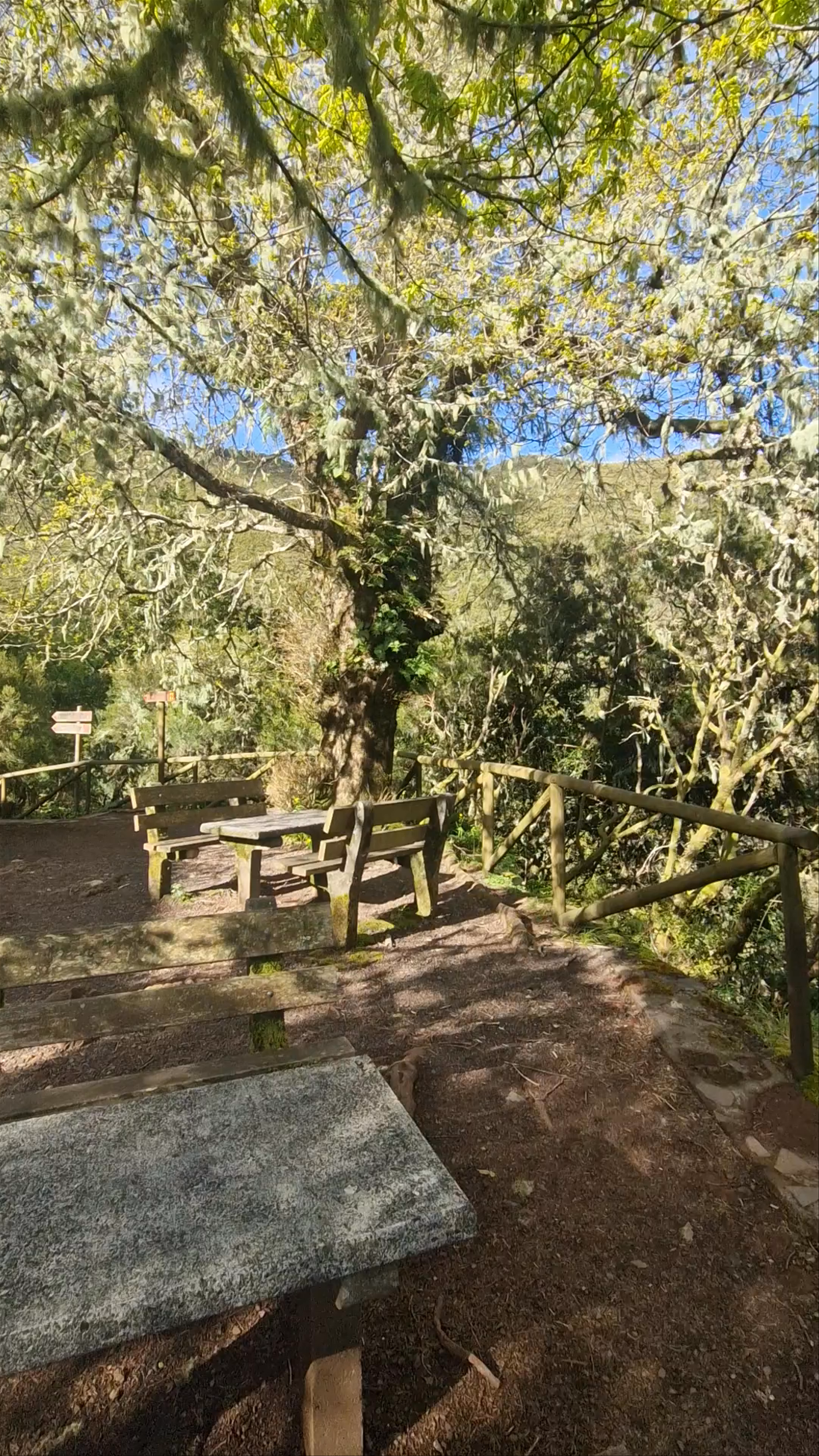Rabaçal Nature Spot Cafe