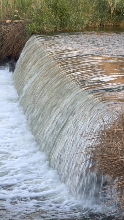 Wetlands Trail - Amazing energy! - Hiking Near Me - Boulder City, Nevada