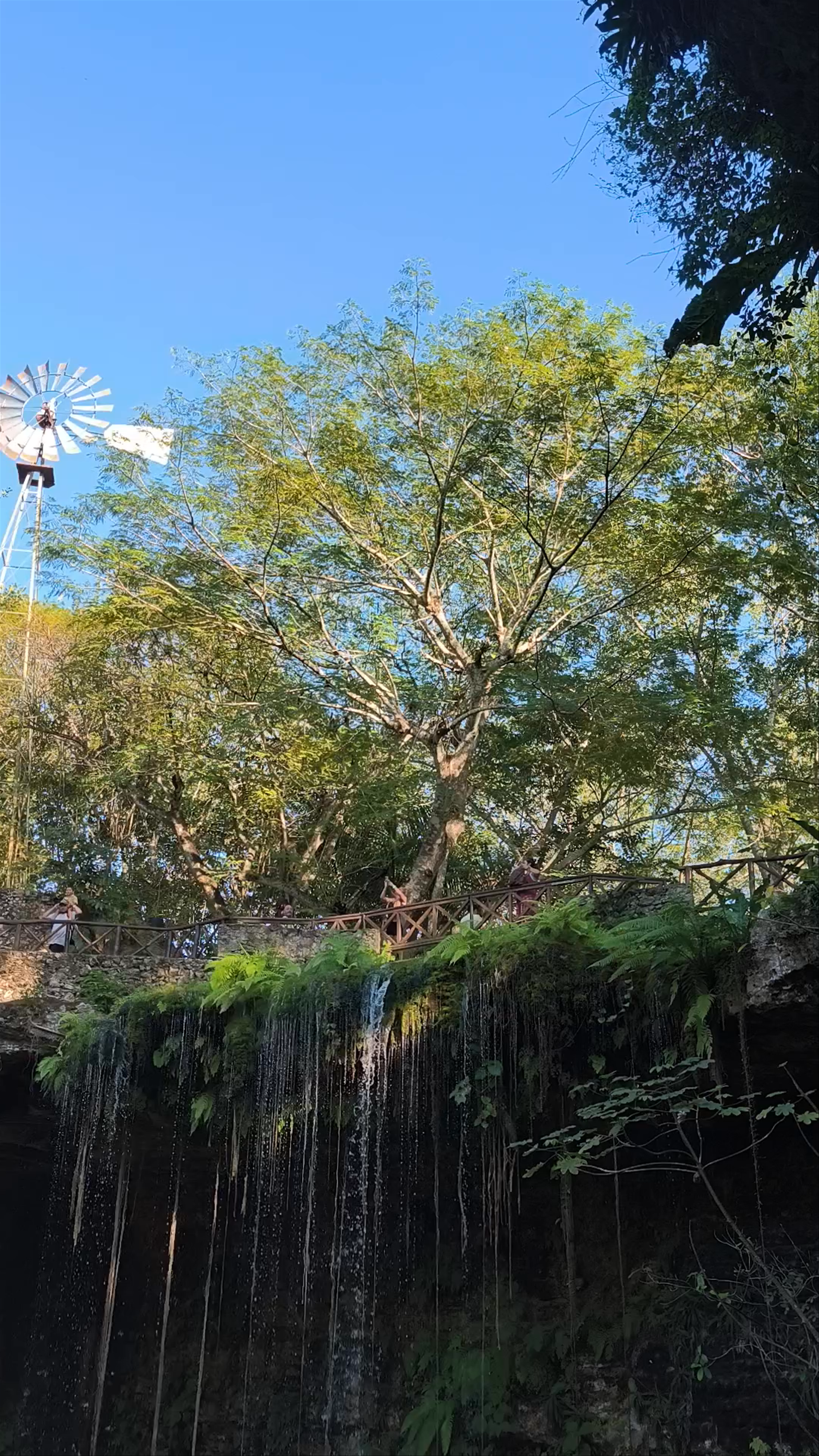 Cenote Saamal