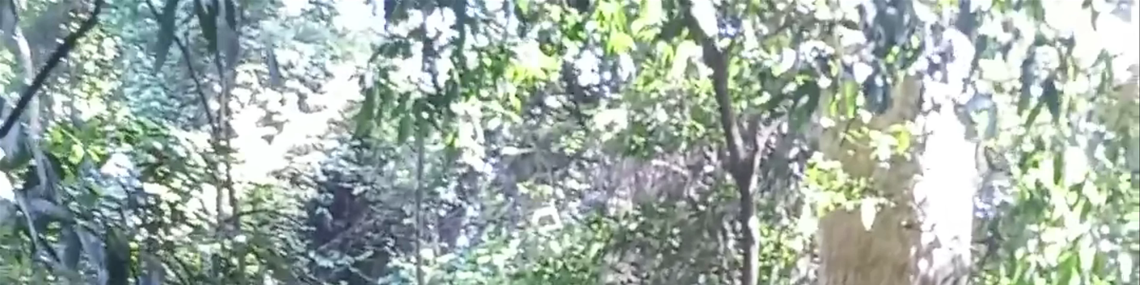 Leam Tanod Nature Trail